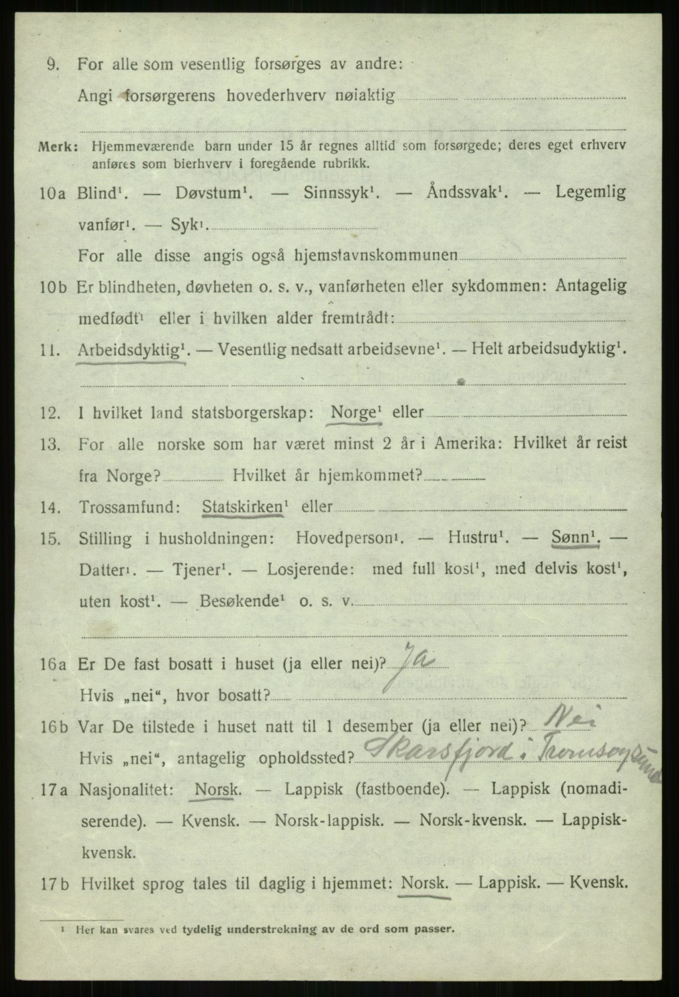 SATØ, 1920 census for Lenvik, 1920, p. 12291