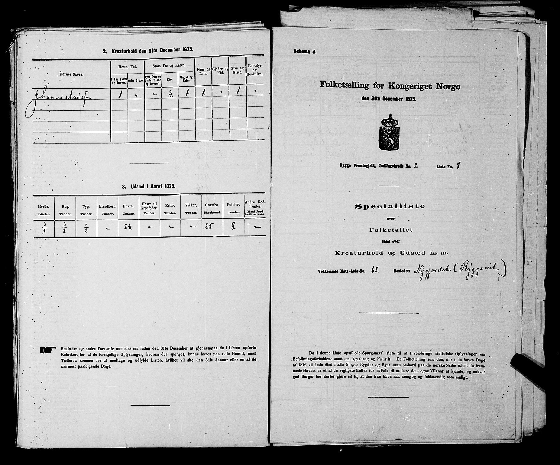 RA, 1875 census for 0136P Rygge, 1875, p. 457