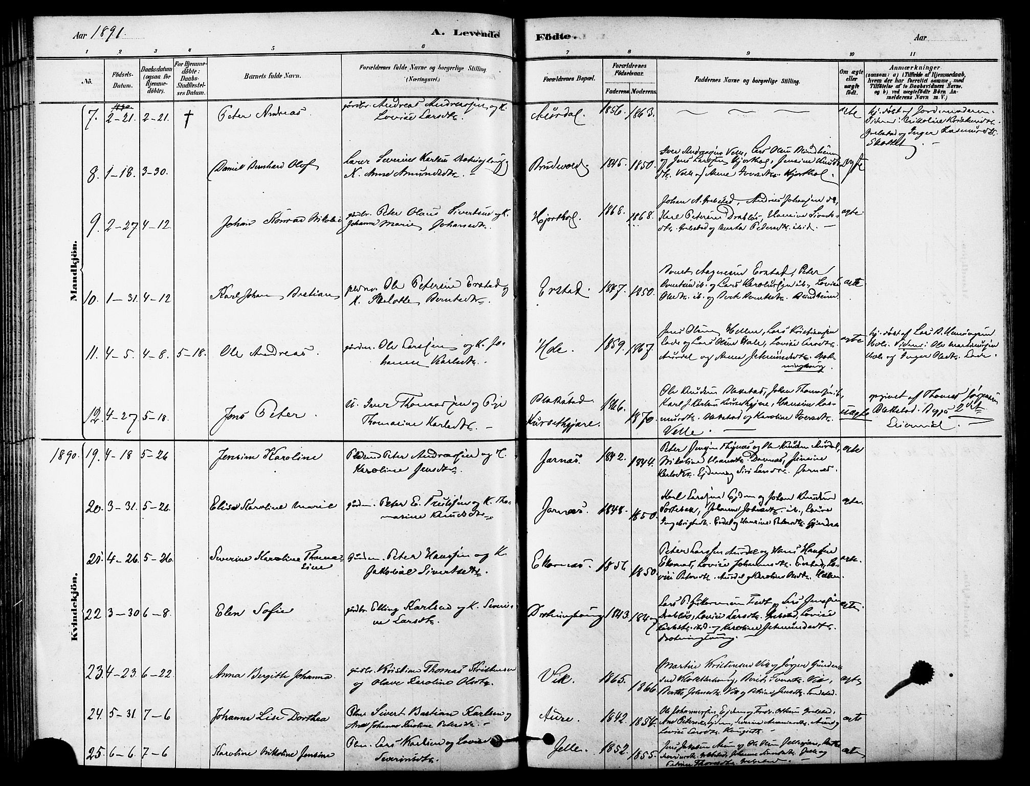 Ministerialprotokoller, klokkerbøker og fødselsregistre - Møre og Romsdal, AV/SAT-A-1454/523/L0334: Parish register (official) no. 523A01, 1878-1891