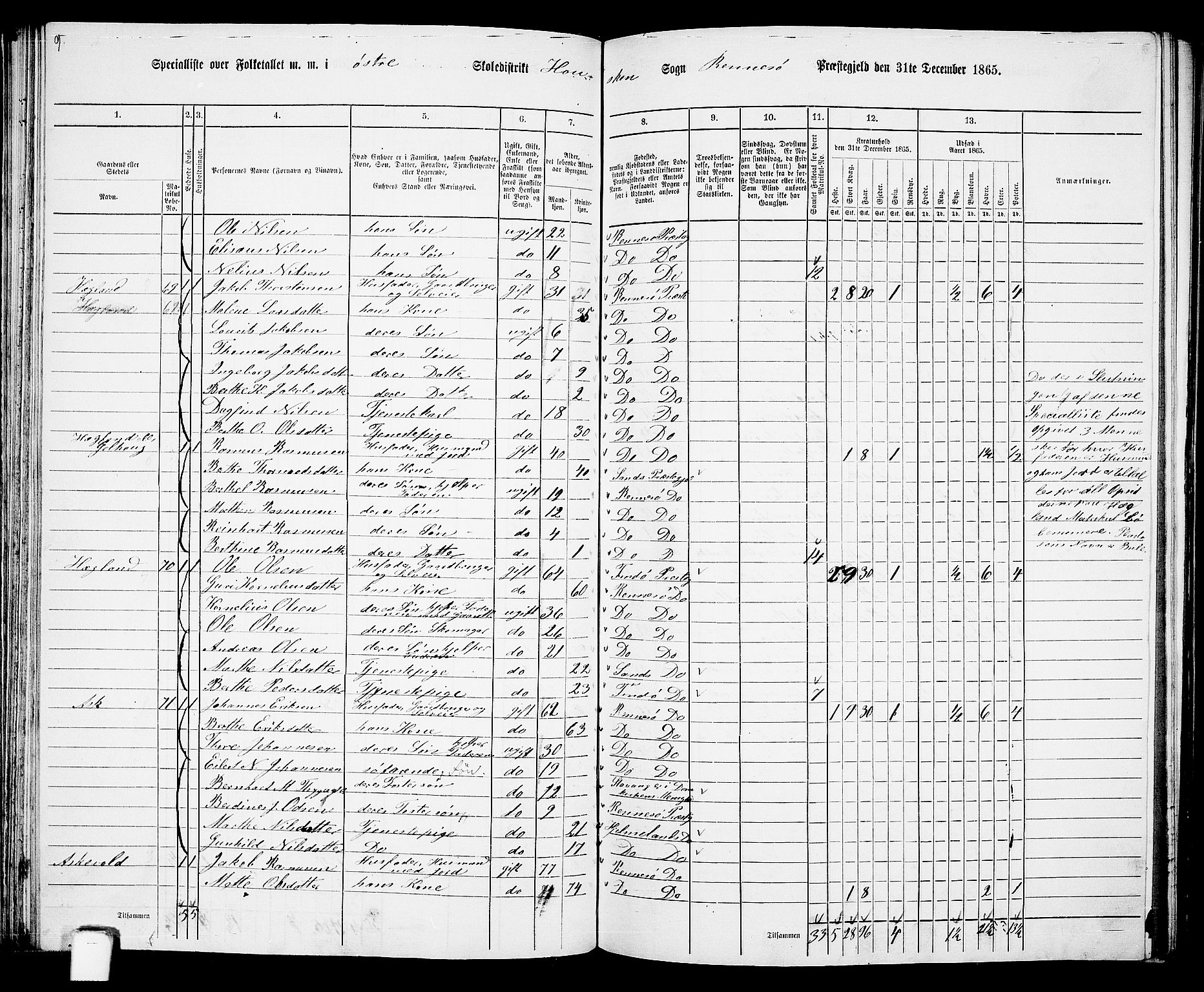 RA, 1865 census for Rennesøy, 1865, p. 51