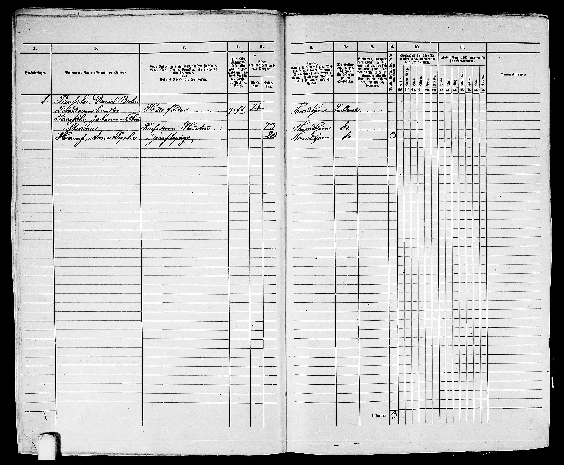 RA, 1865 census for Trondheim, 1865, p. 1050