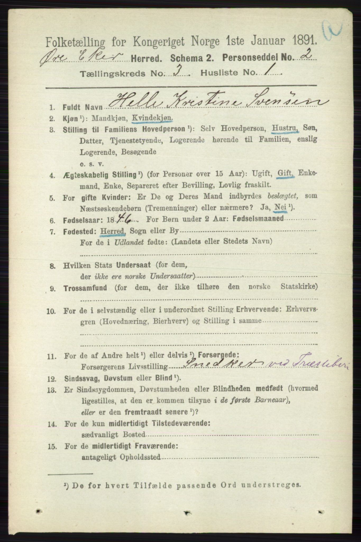 RA, 1891 census for 0624 Øvre Eiker, 1891, p. 991