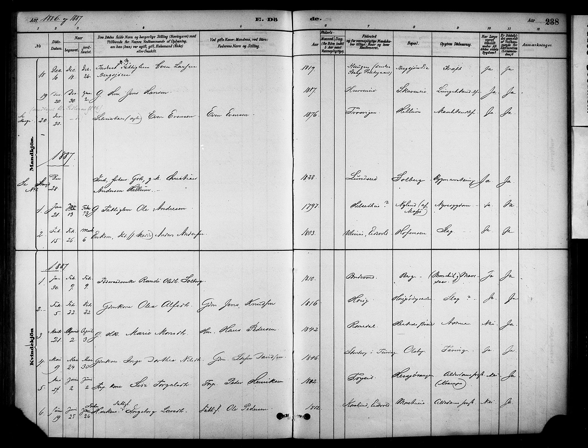 Stange prestekontor, SAH/PREST-002/K/L0018: Parish register (official) no. 18, 1880-1896, p. 238