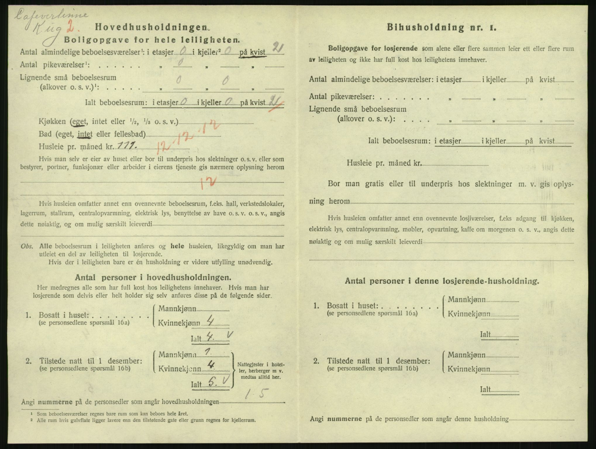 SAKO, 1920 census for Hønefoss, 1920, p. 1919