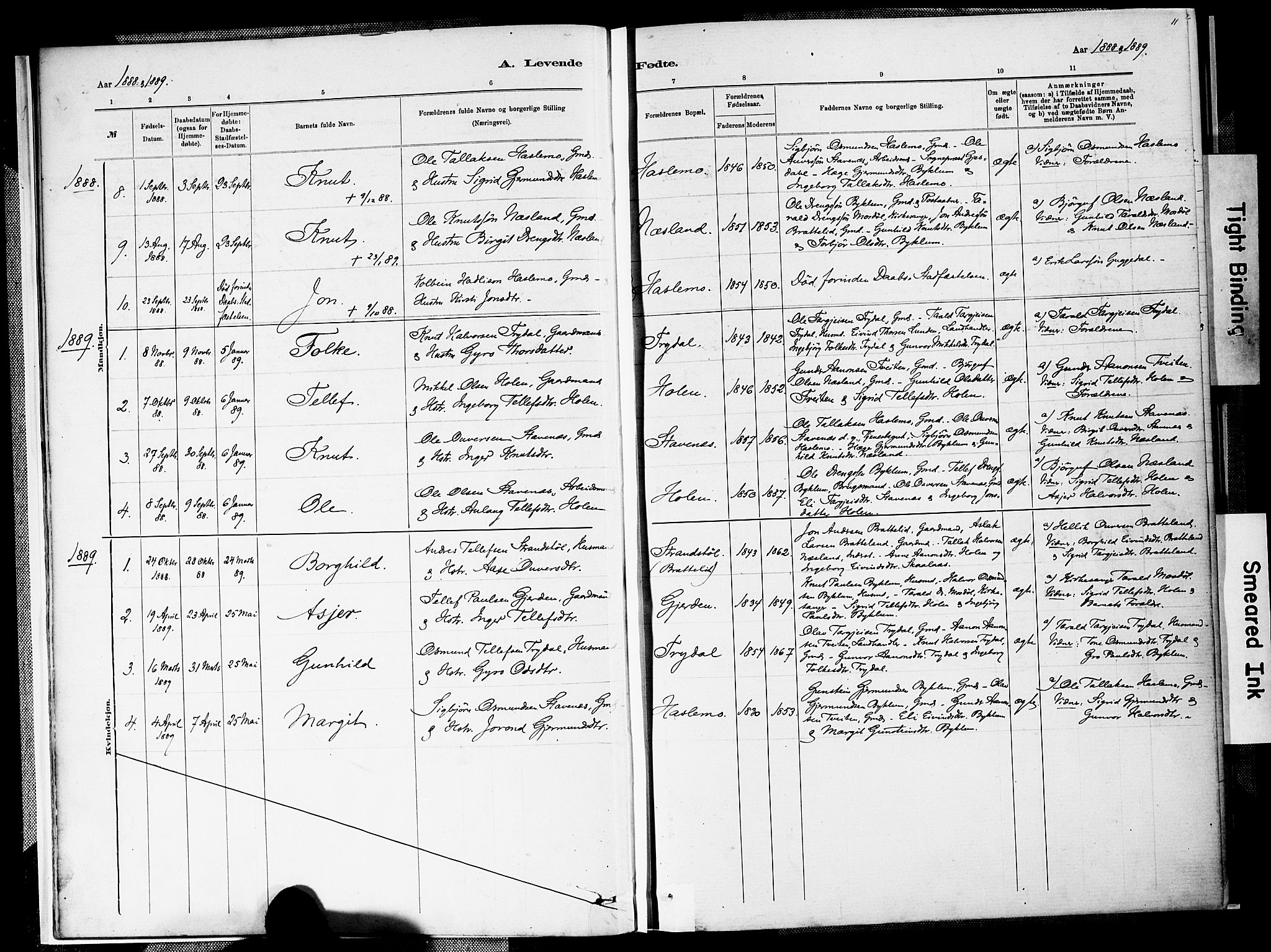 Valle sokneprestkontor, SAK/1111-0044/F/Fa/Faa/L0001: Parish register (official) no. A 1, 1882-1907, p. 11