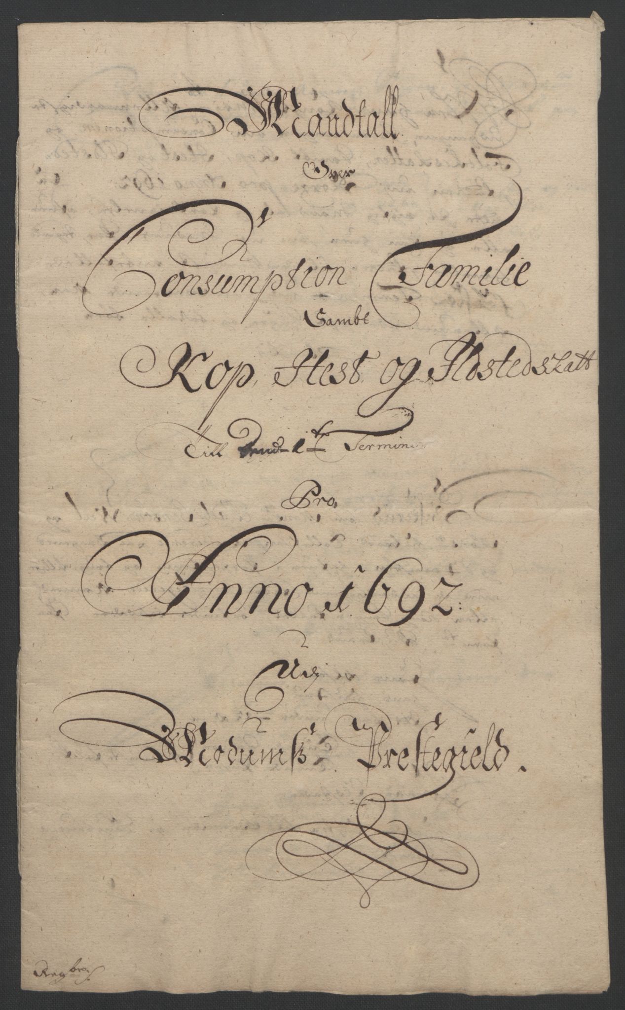 Rentekammeret inntil 1814, Reviderte regnskaper, Fogderegnskap, AV/RA-EA-4092/R25/L1681: Fogderegnskap Buskerud, 1691-1692, p. 468