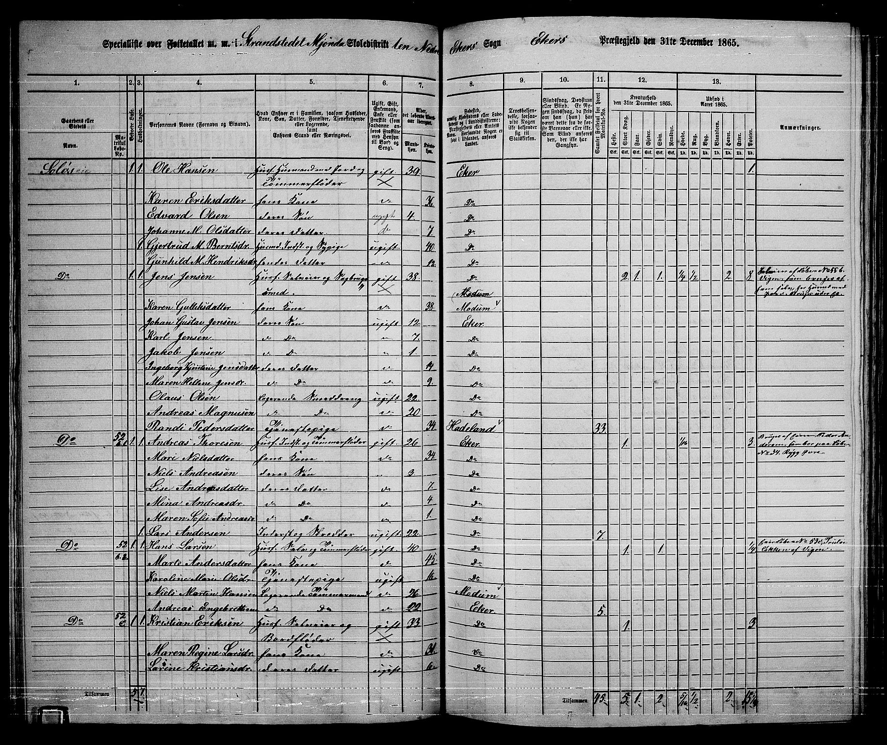 RA, 1865 census for Eiker, 1865, p. 400