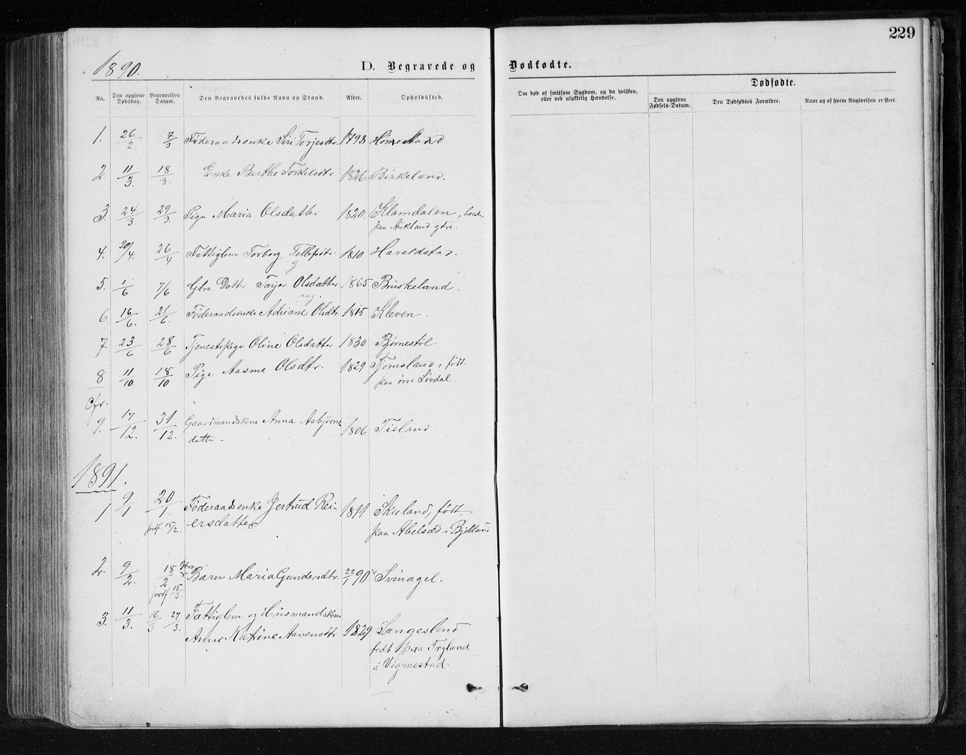 Holum sokneprestkontor, SAK/1111-0022/F/Fb/Fbb/L0003: Parish register (copy) no. B 3, 1875-1898, p. 229