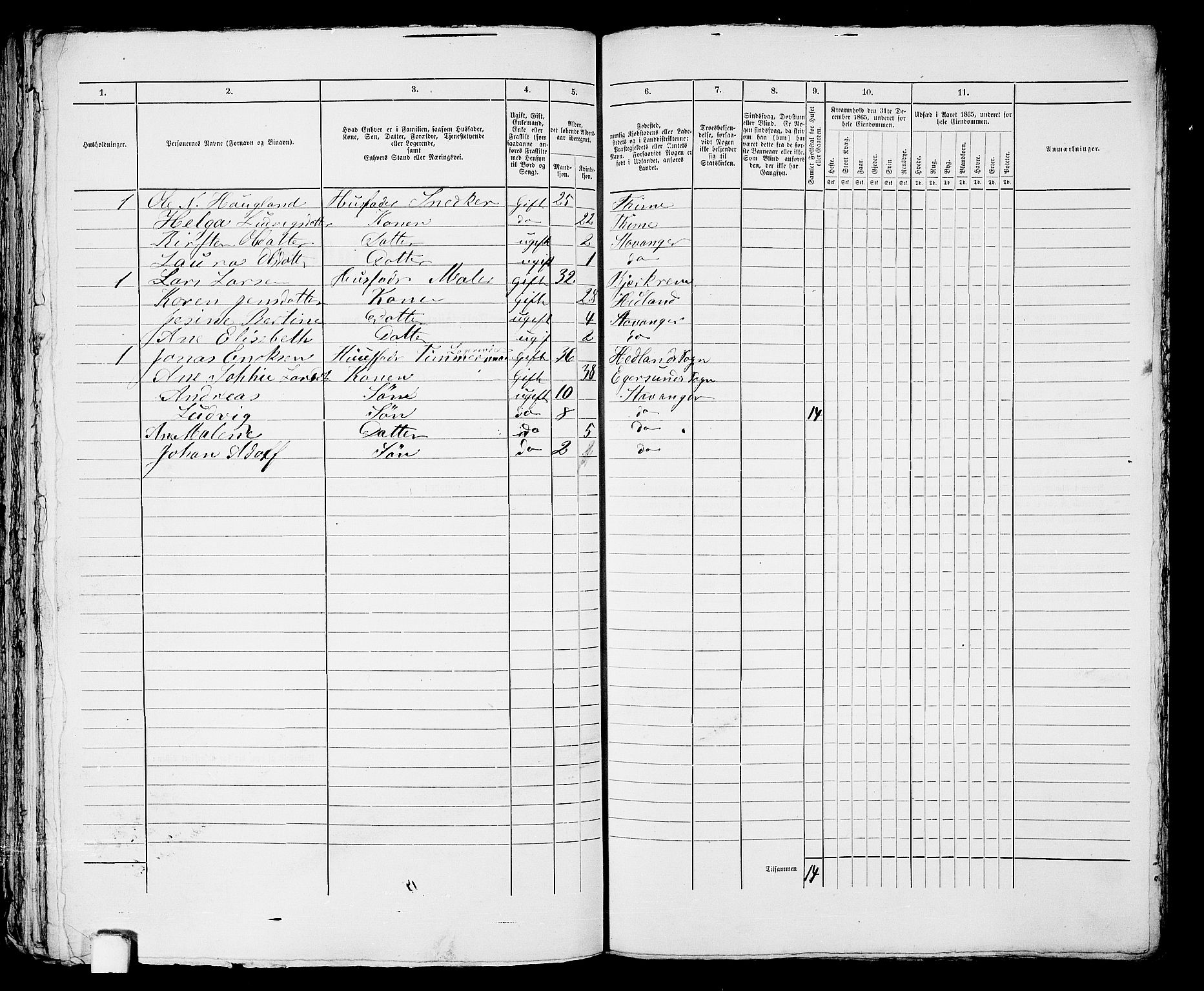 RA, 1865 census for Stavanger, 1865, p. 2228