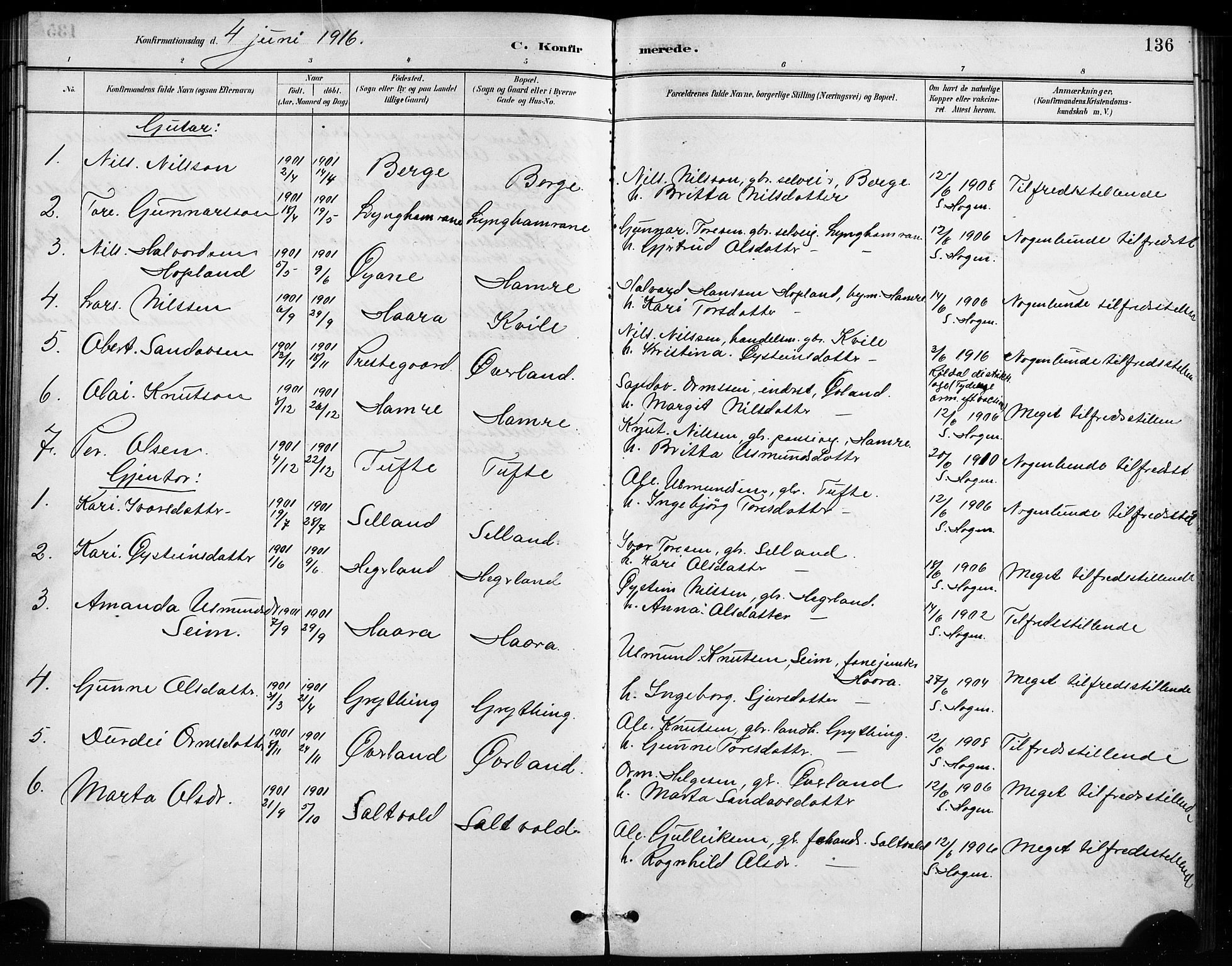 Røldal sokneprestembete, SAB/A-100247: Parish register (copy) no. A 3, 1887-1917, p. 136