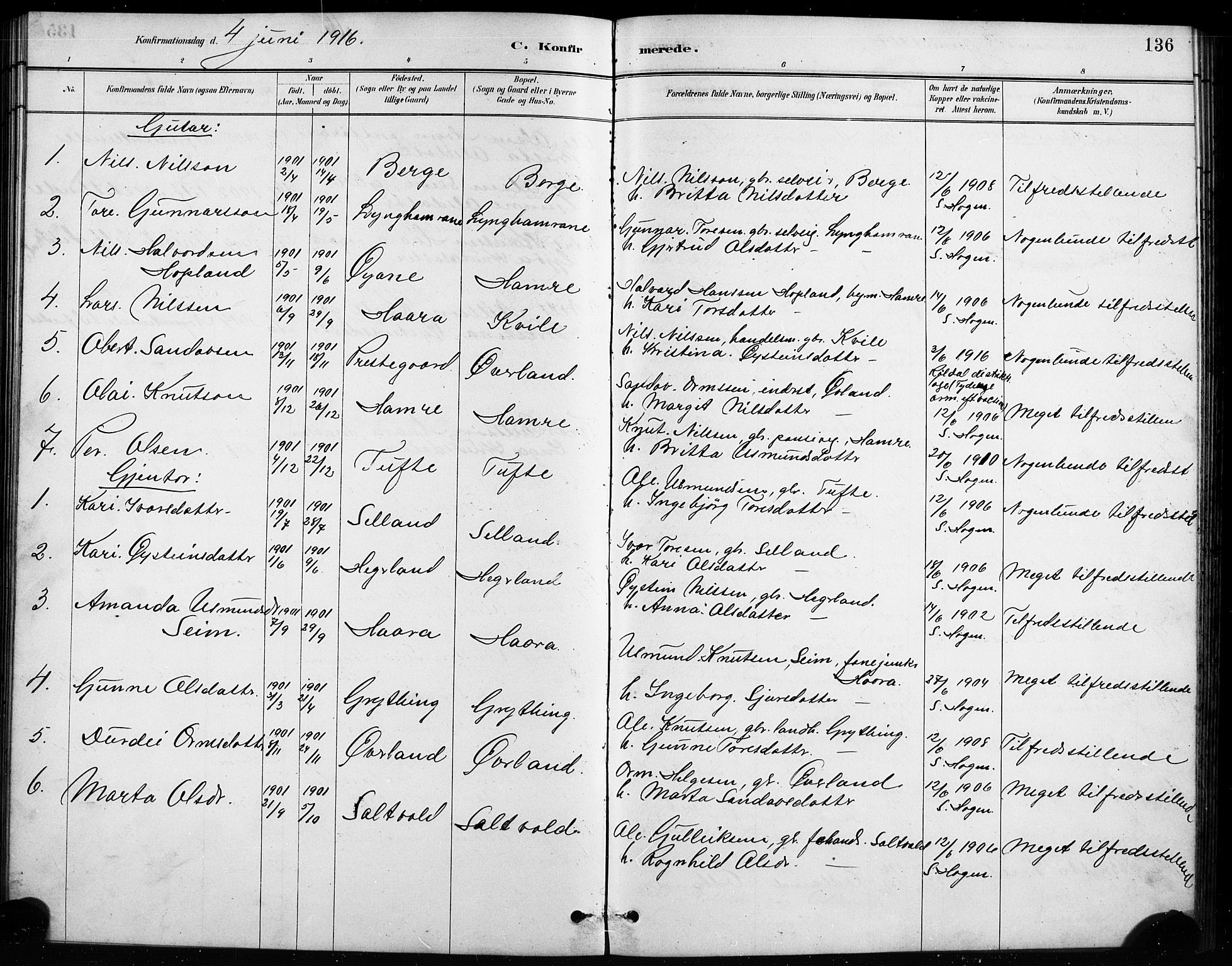 Røldal sokneprestembete, AV/SAB-A-100247: Parish register (copy) no. A 3, 1887-1917, p. 136