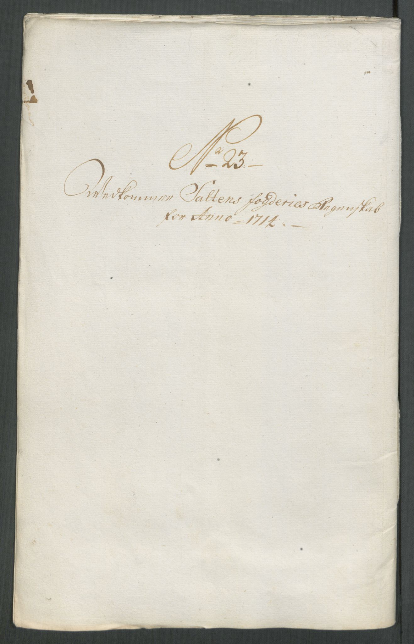 Rentekammeret inntil 1814, Reviderte regnskaper, Fogderegnskap, AV/RA-EA-4092/R66/L4584: Fogderegnskap Salten, 1714, p. 210