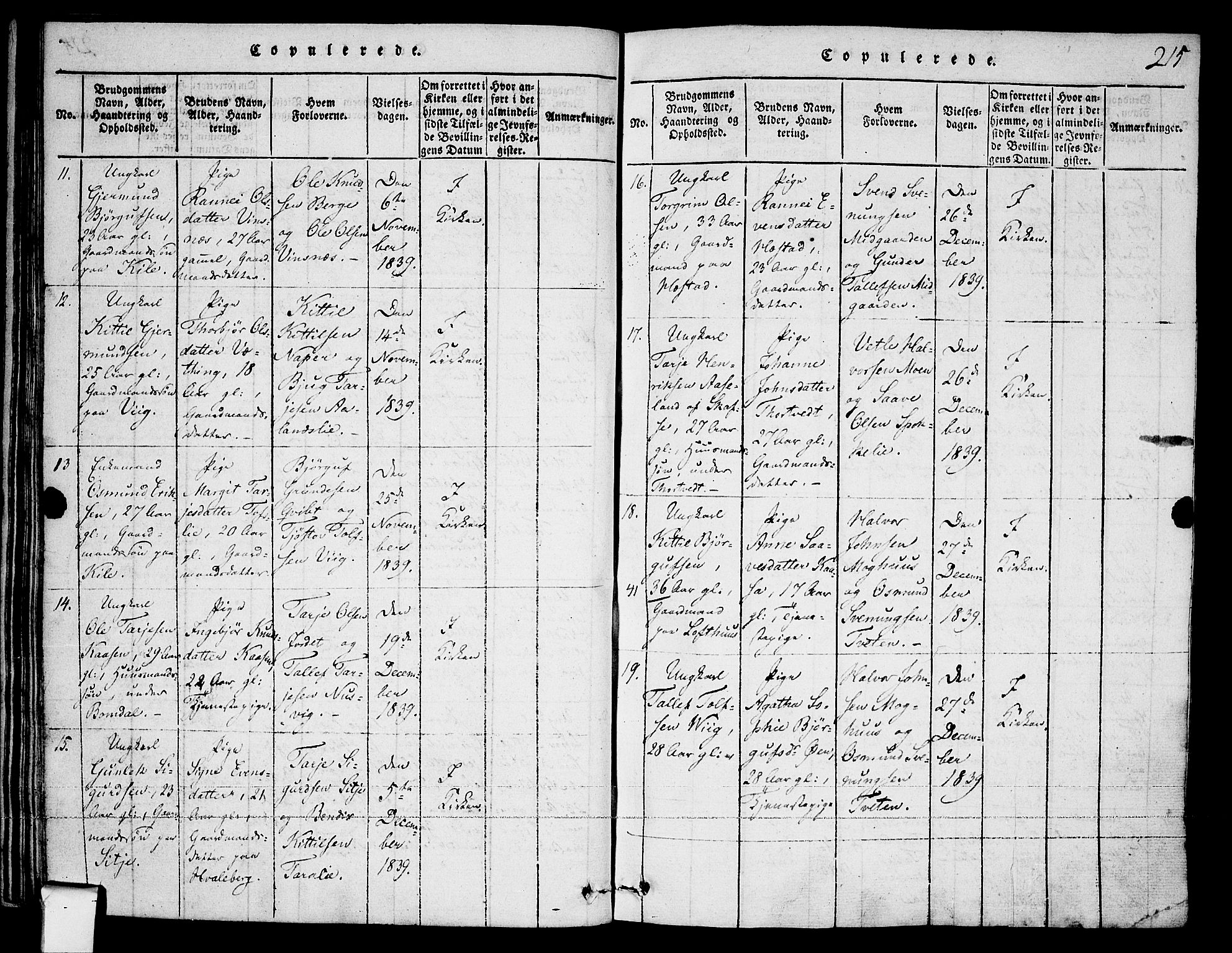 Fyresdal kirkebøker, SAKO/A-263/F/Fa/L0003: Parish register (official) no. I 3, 1815-1840, p. 215