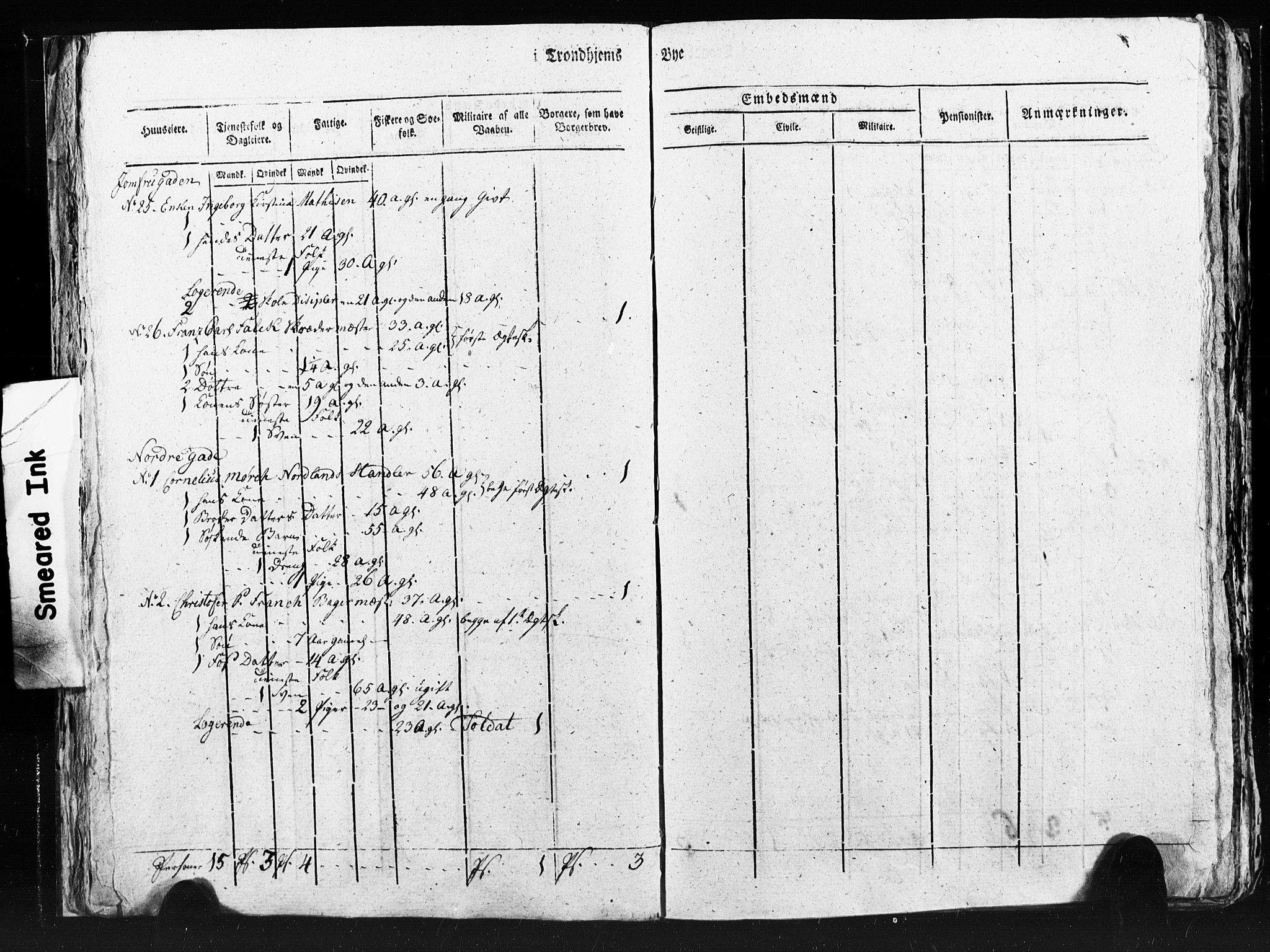 SAT, Census 1815 for Trondheim (transcript), 1815, p. 233