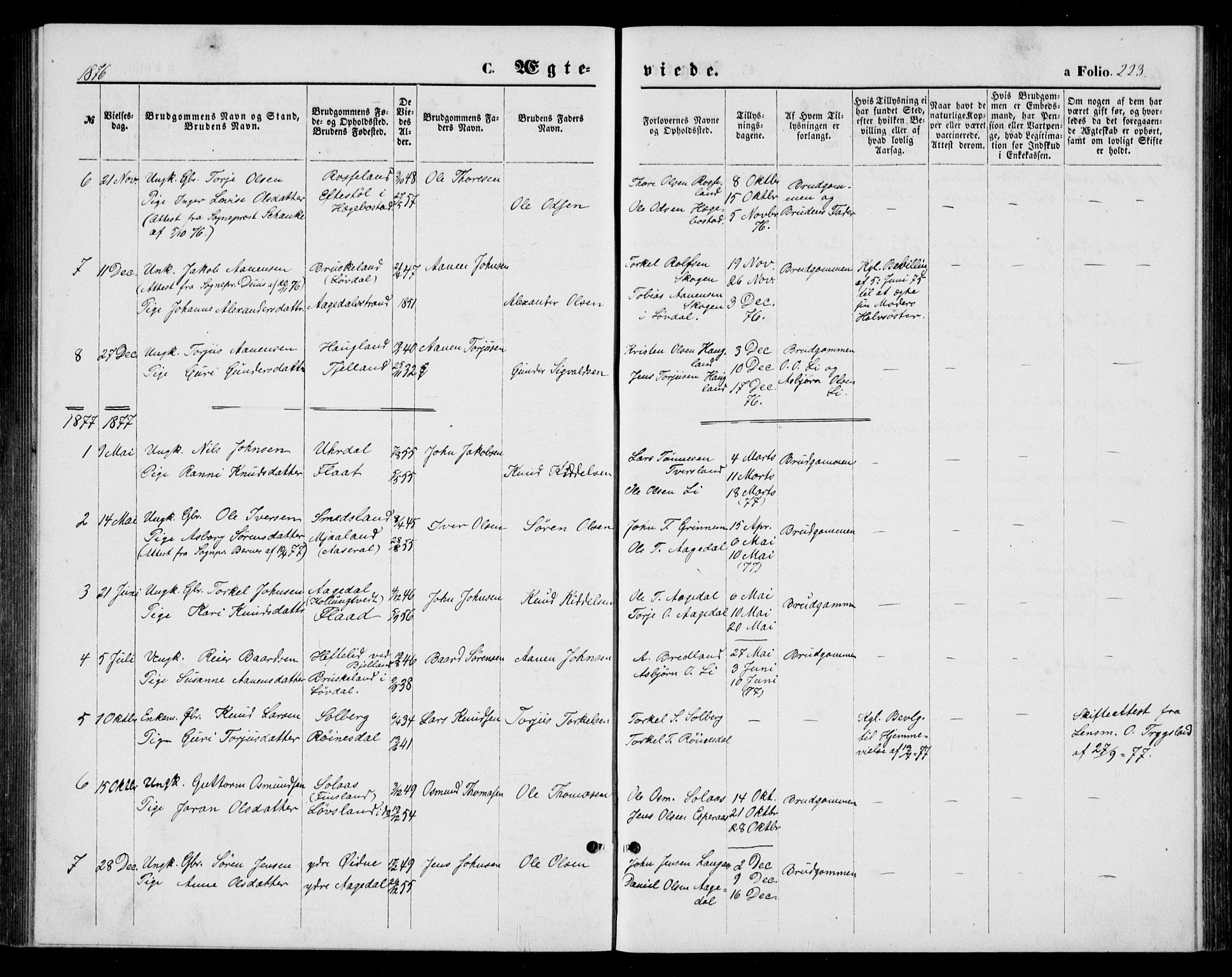 Bjelland sokneprestkontor, AV/SAK-1111-0005/F/Fb/Fba/L0004: Parish register (copy) no. B 4, 1869-1886, p. 223