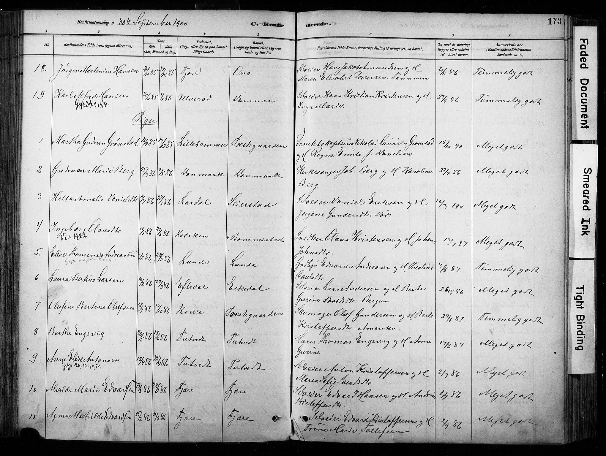 Hedrum kirkebøker, AV/SAKO-A-344/F/Fa/L0009: Parish register (official) no. I 9, 1881-1903, p. 173