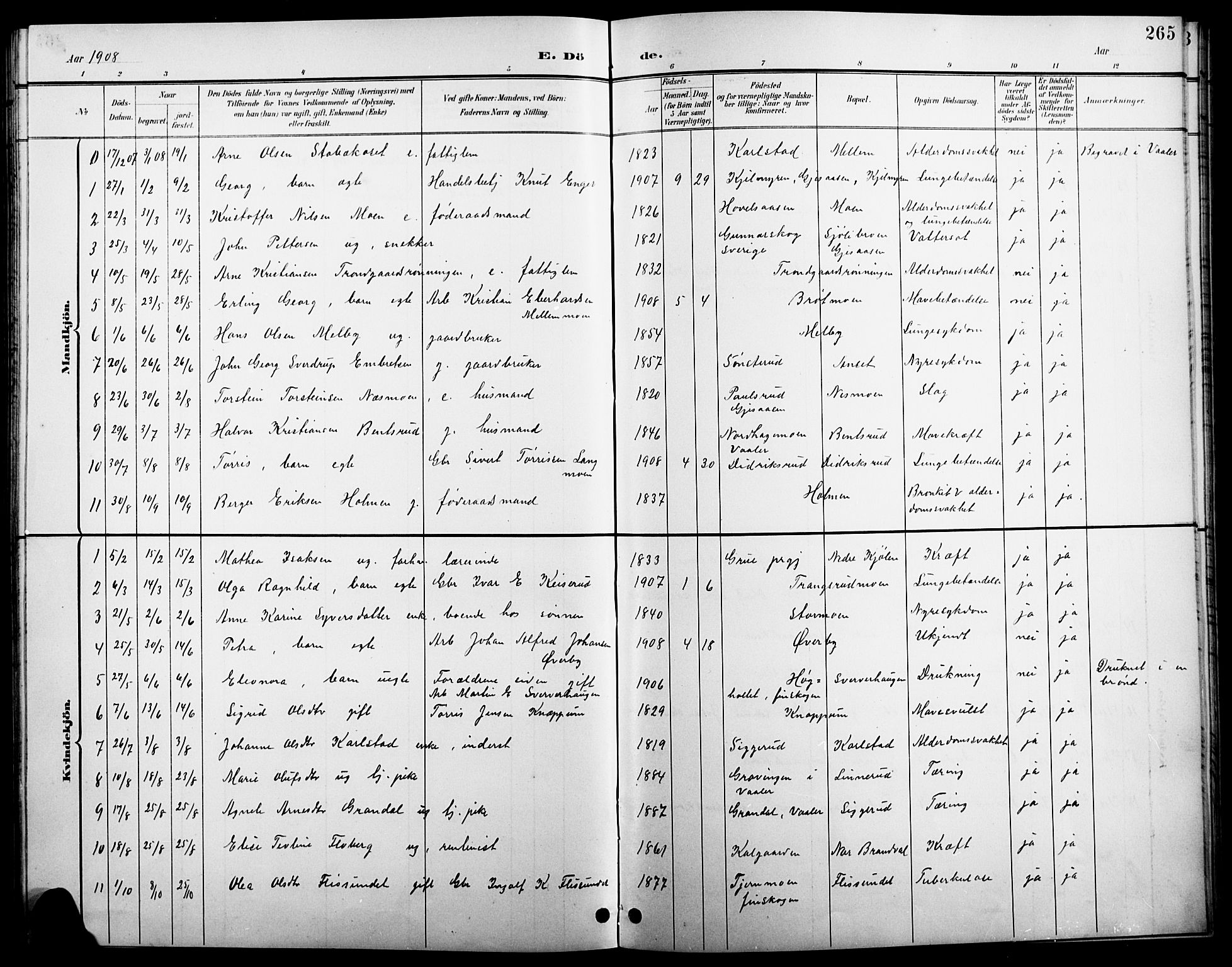 Åsnes prestekontor, SAH/PREST-042/H/Ha/Hab/L0004: Parish register (copy) no. 4, 1895-1909, p. 265