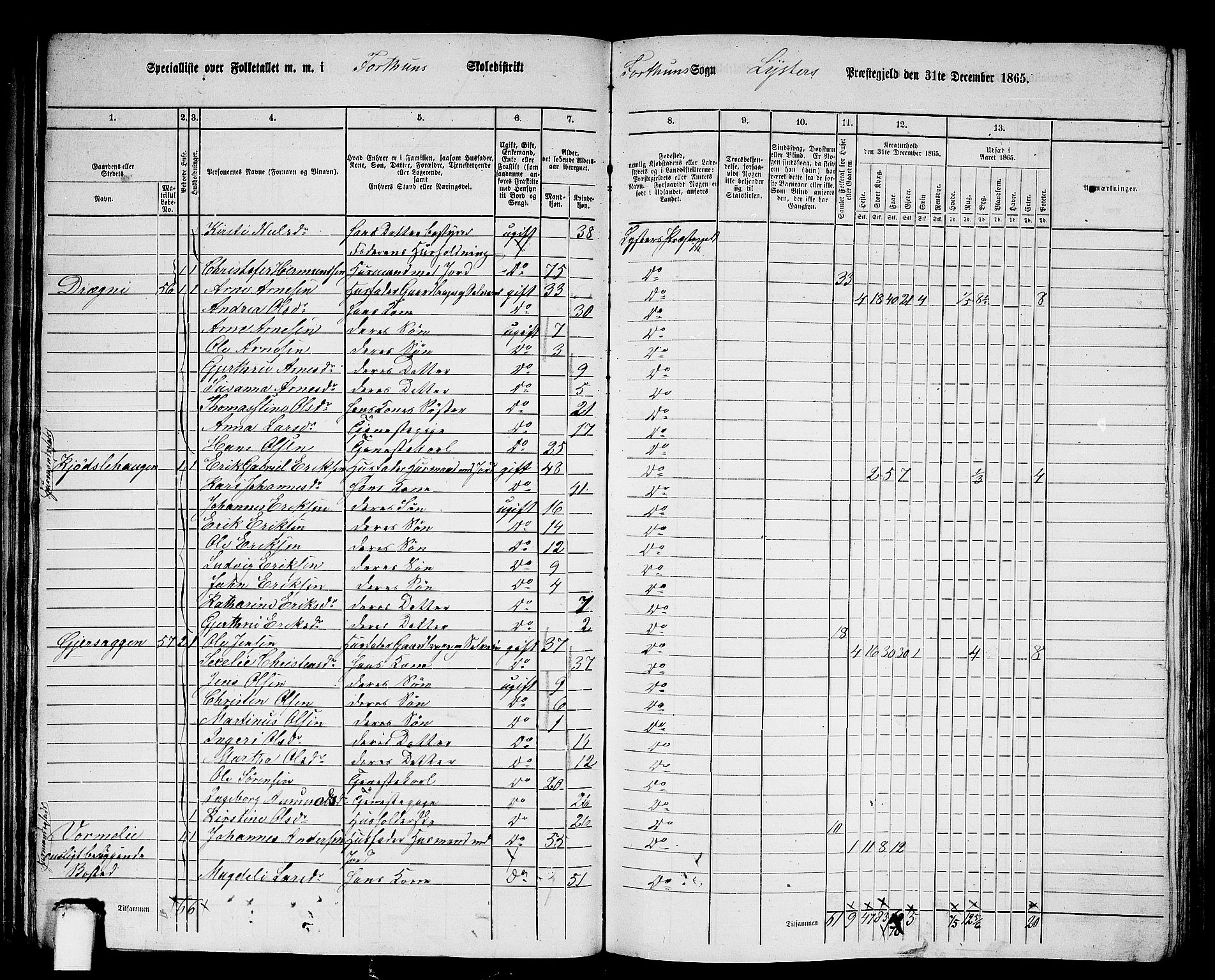 RA, 1865 census for Luster, 1865, p. 53