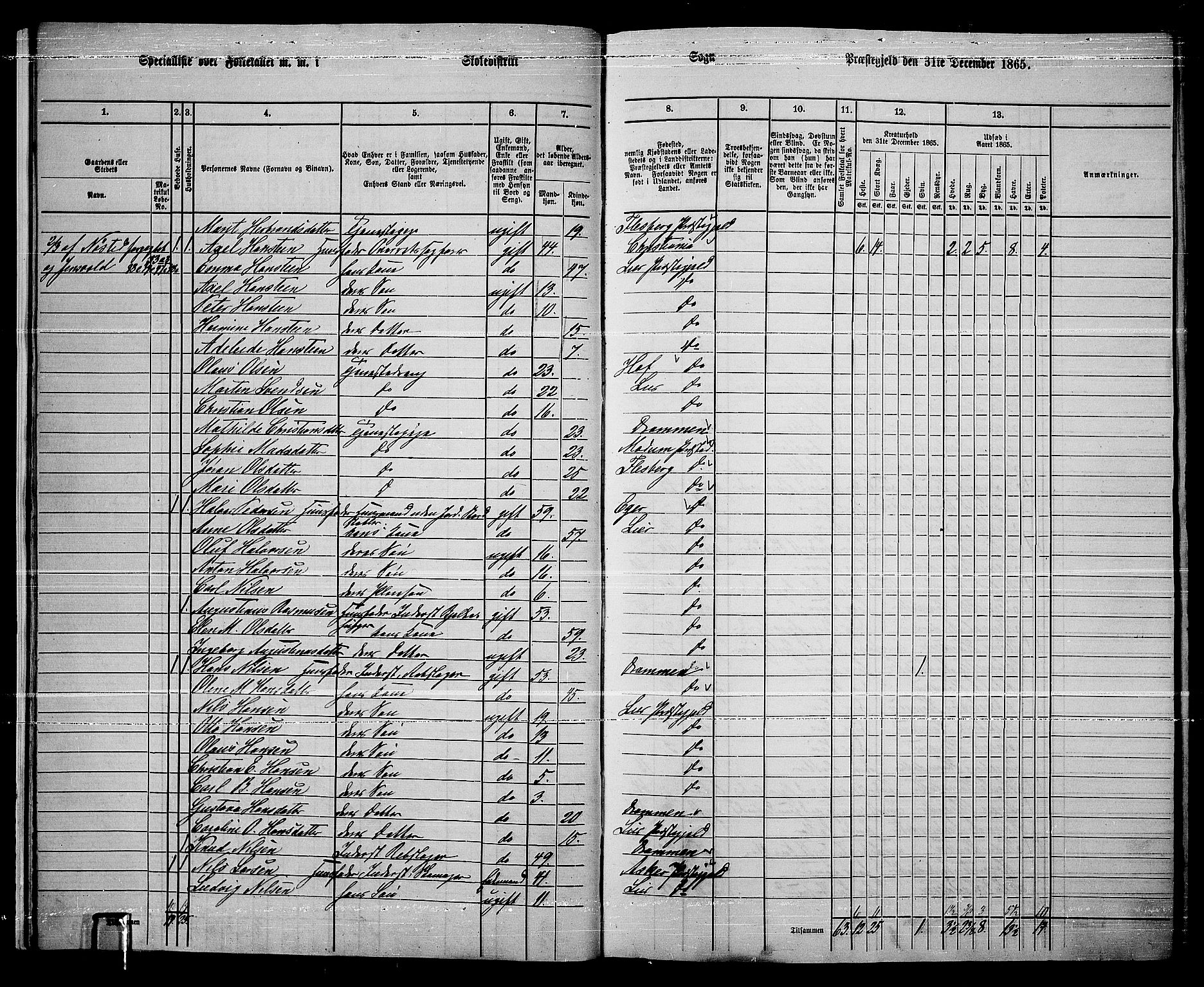 RA, 1865 census for Lier, 1865, p. 19