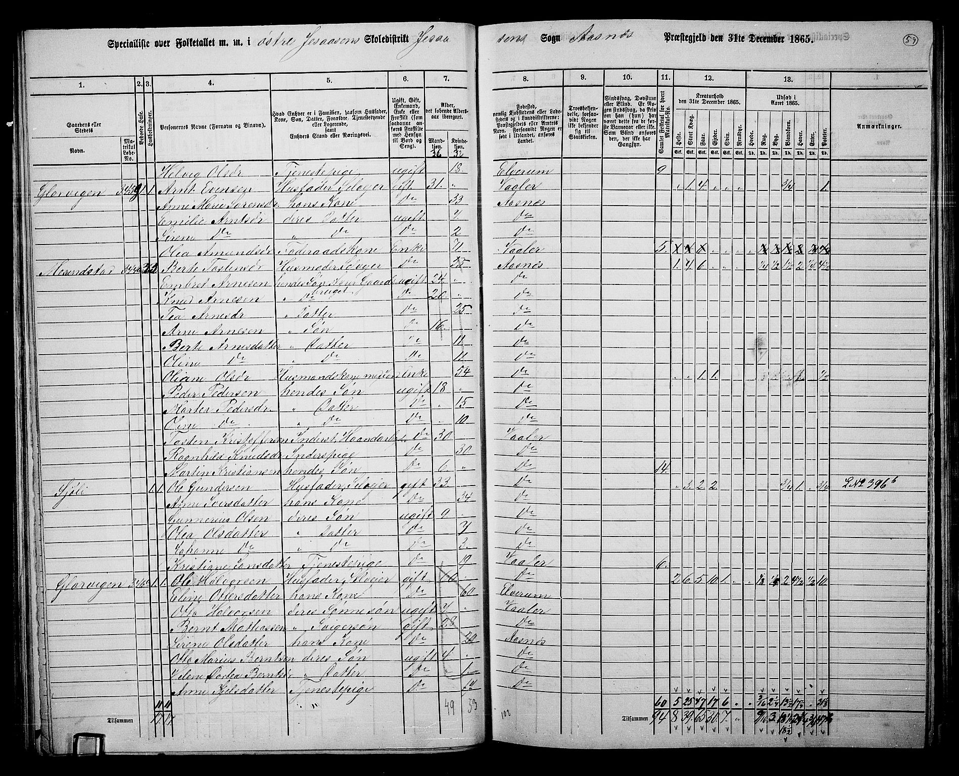 RA, 1865 census for Åsnes, 1865, p. 55