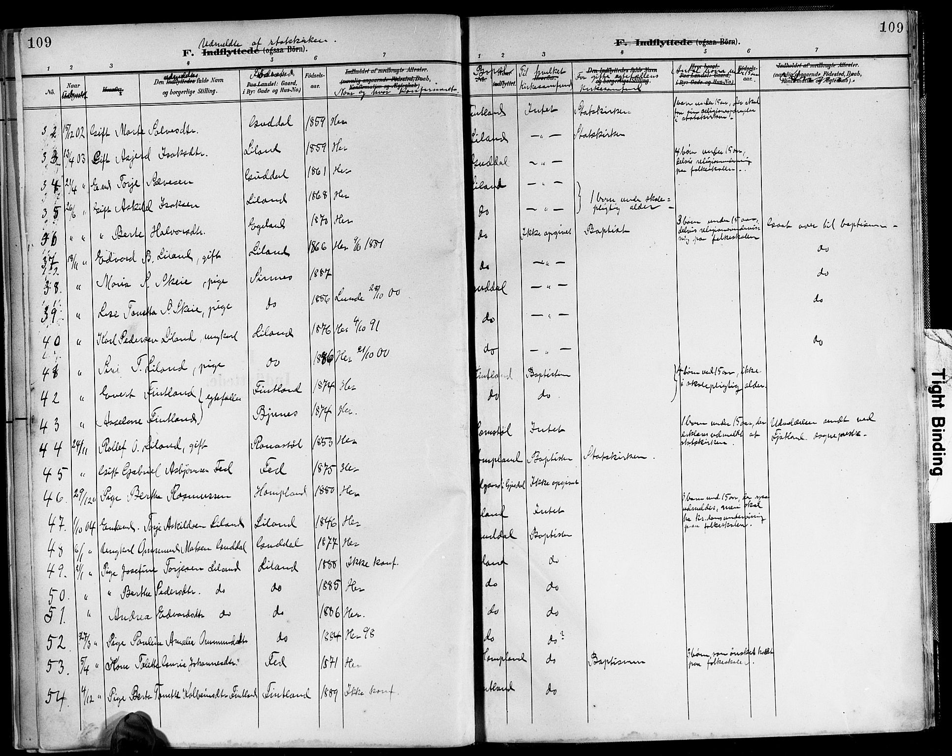 Sirdal sokneprestkontor, AV/SAK-1111-0036/F/Fb/Fbb/L0004: Parish register (copy) no. B 4, 1895-1916, p. 109