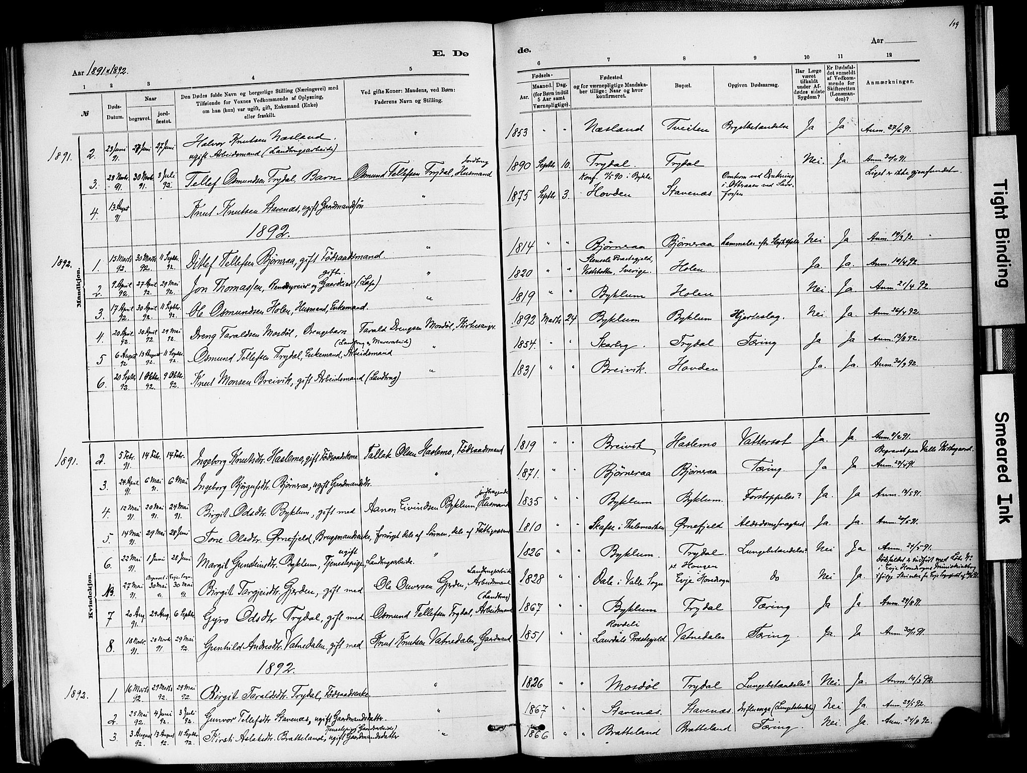 Valle sokneprestkontor, SAK/1111-0044/F/Fa/Faa/L0001: Parish register (official) no. A 1, 1882-1907, p. 109