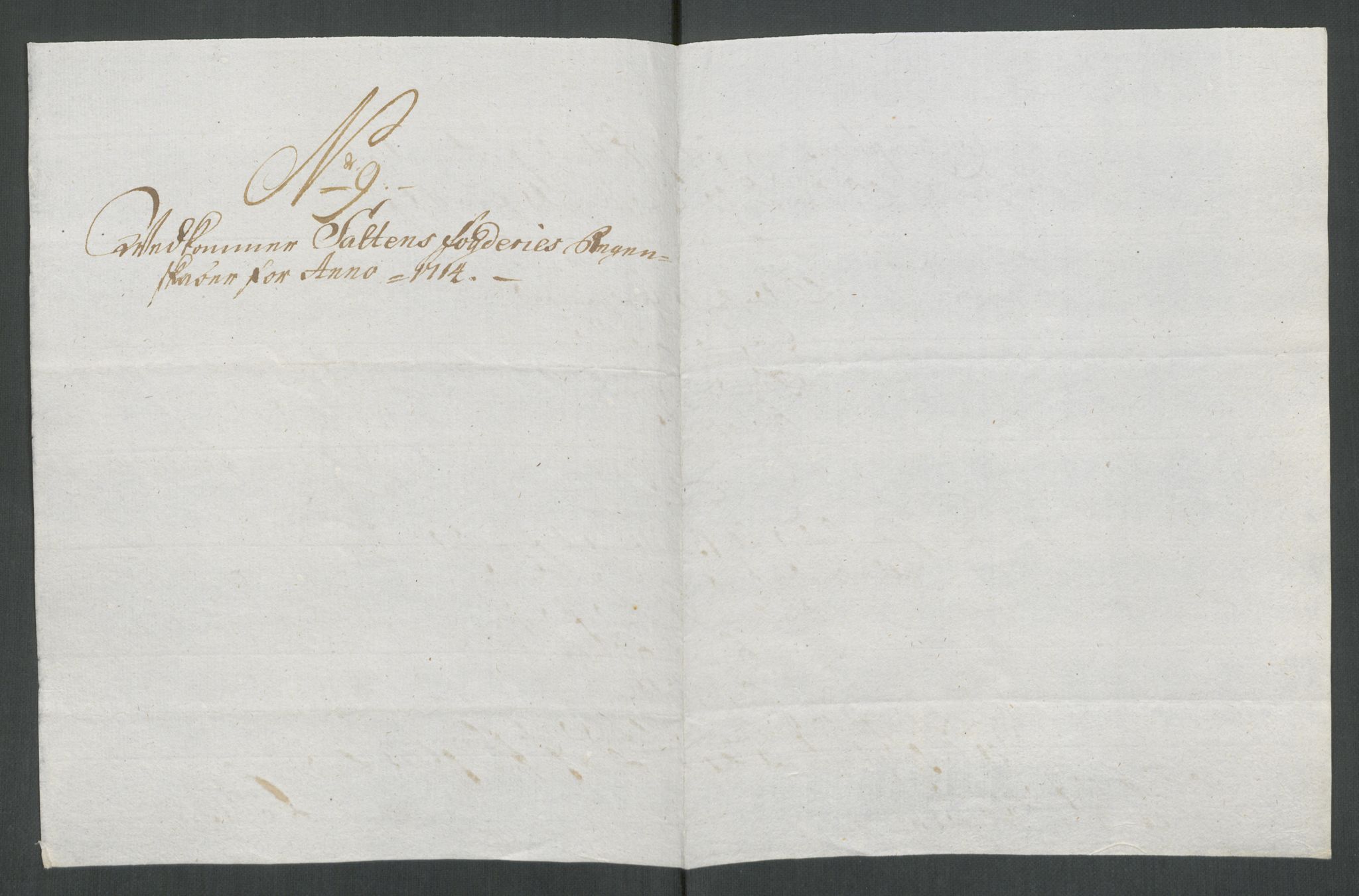 Rentekammeret inntil 1814, Reviderte regnskaper, Fogderegnskap, AV/RA-EA-4092/R66/L4584: Fogderegnskap Salten, 1714, p. 103