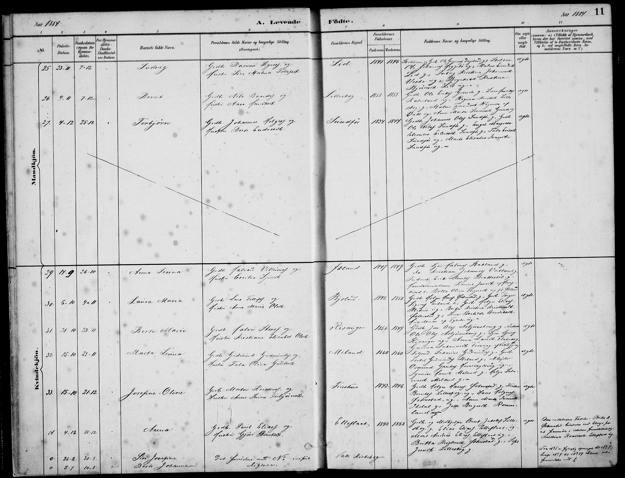 Skjold sokneprestkontor, AV/SAST-A-101847/H/Ha/Haa/L0010: Parish register (official) no. A 10, 1882-1897, p. 11