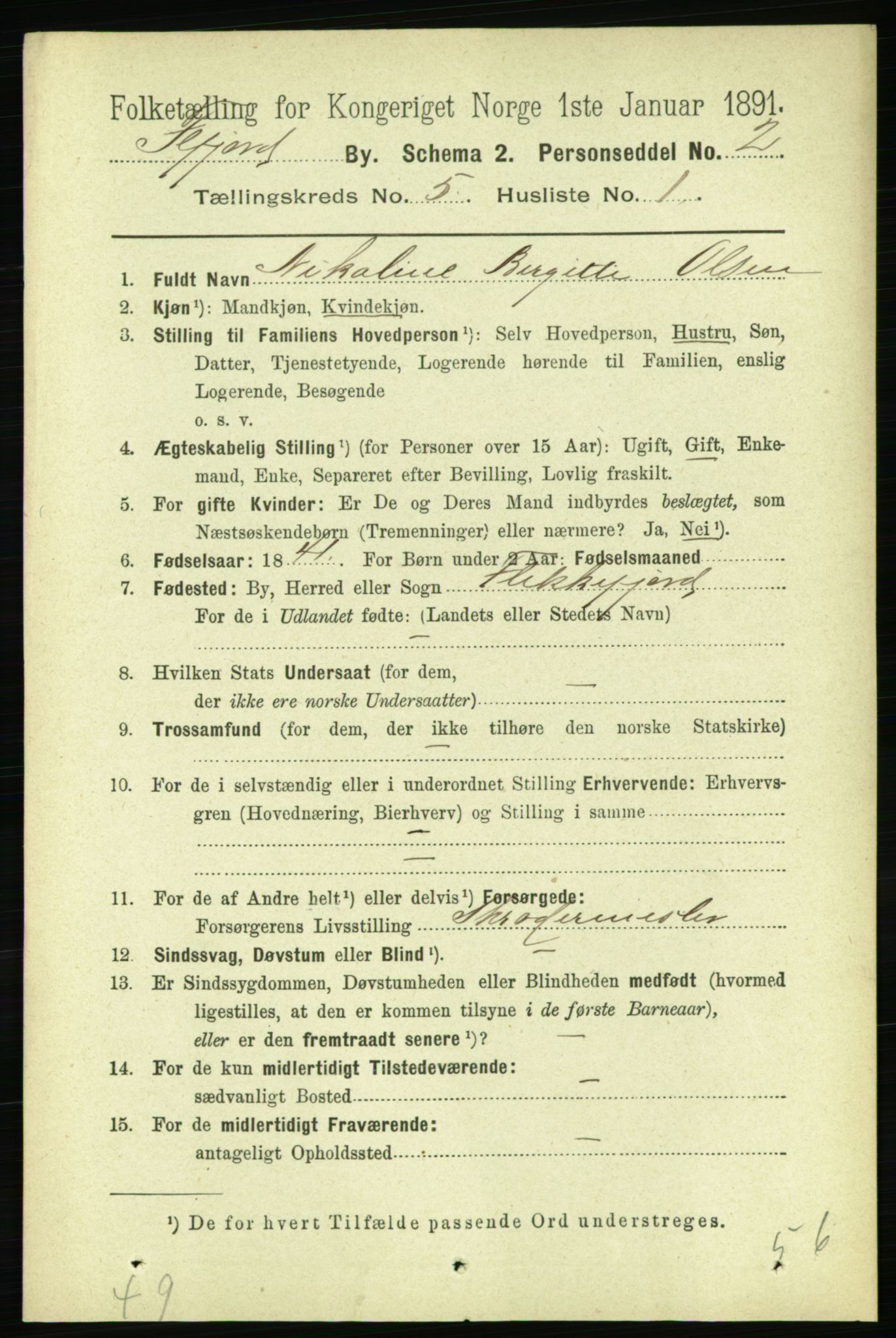 RA, 1891 census for 1004 Flekkefjord, 1891, p. 1126