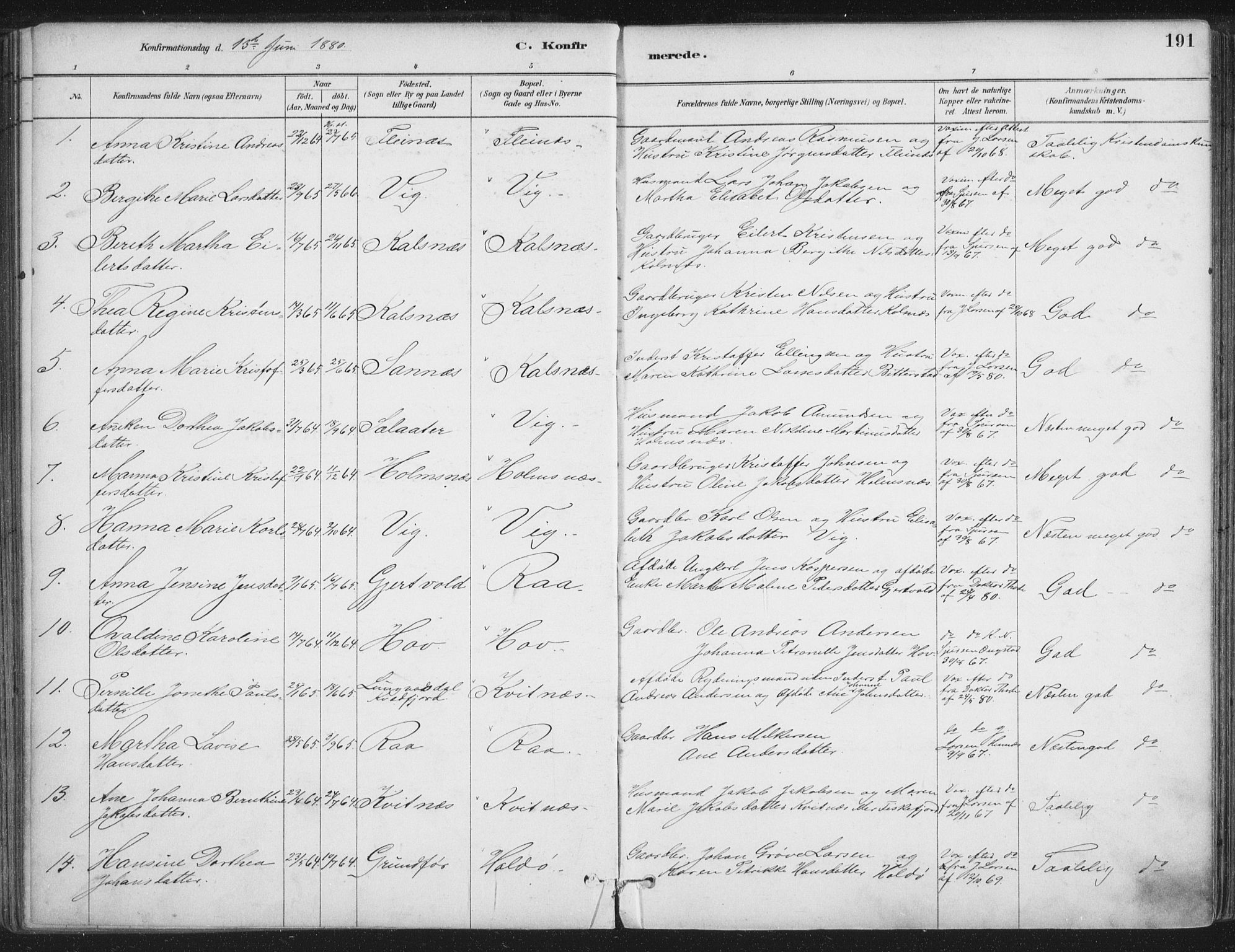 Ministerialprotokoller, klokkerbøker og fødselsregistre - Nordland, SAT/A-1459/888/L1244: Parish register (official) no. 888A10, 1880-1890, p. 191