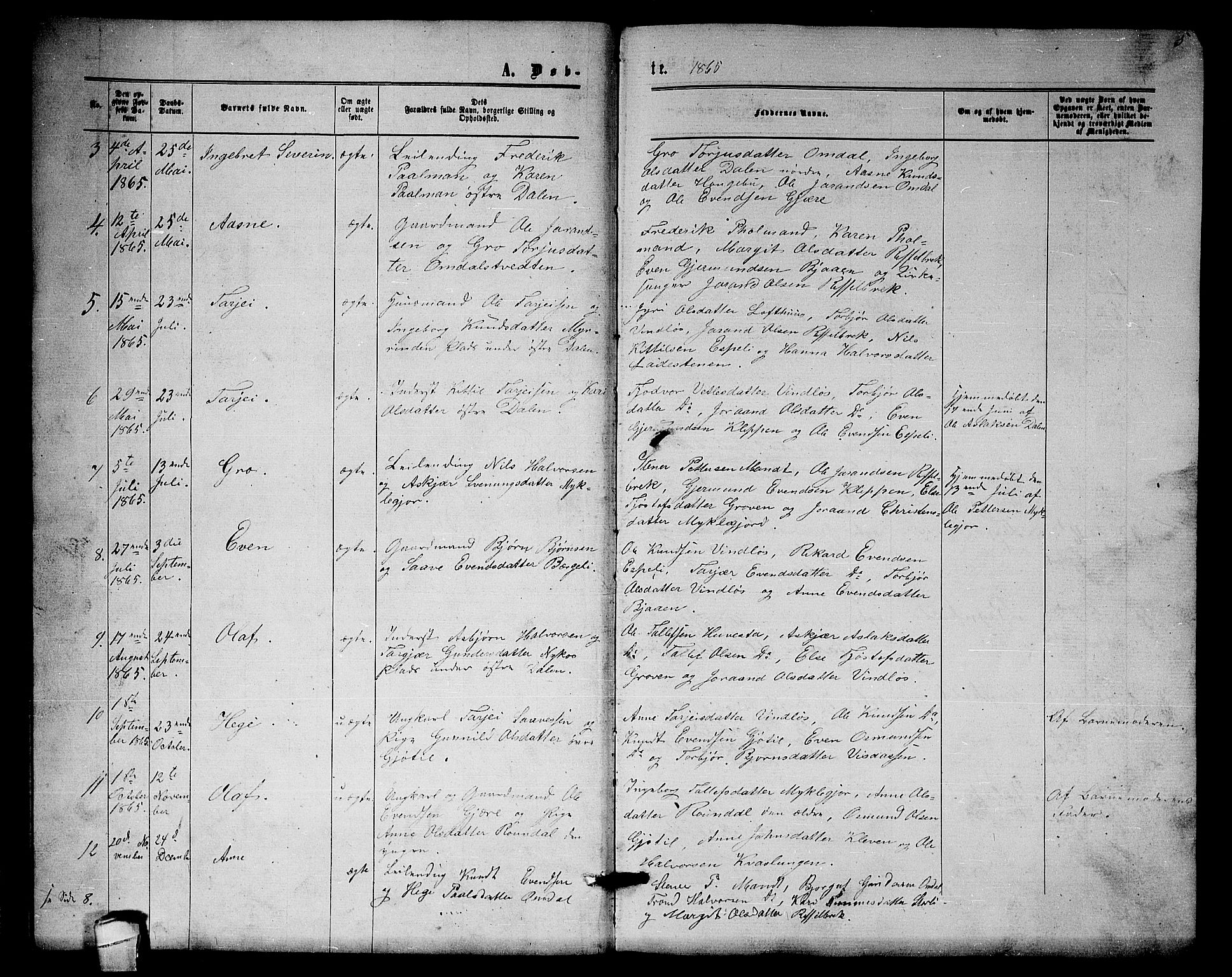 Lårdal kirkebøker, AV/SAKO-A-284/G/Gb/L0002: Parish register (copy) no. II 2, 1865-1888, p. 5