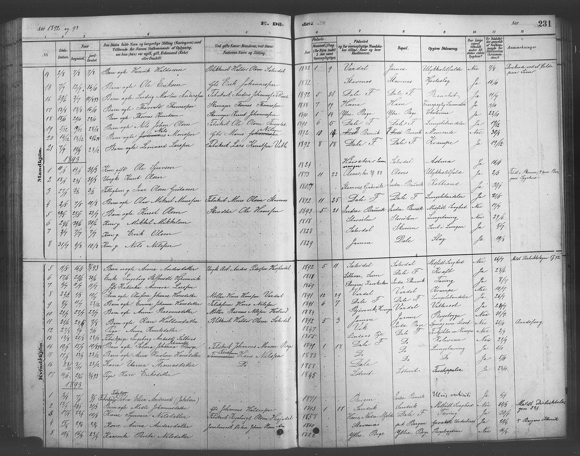 Bruvik Sokneprestembete, SAB/A-74701/H/Hab: Parish register (copy) no. A 1, 1878-1907, p. 231