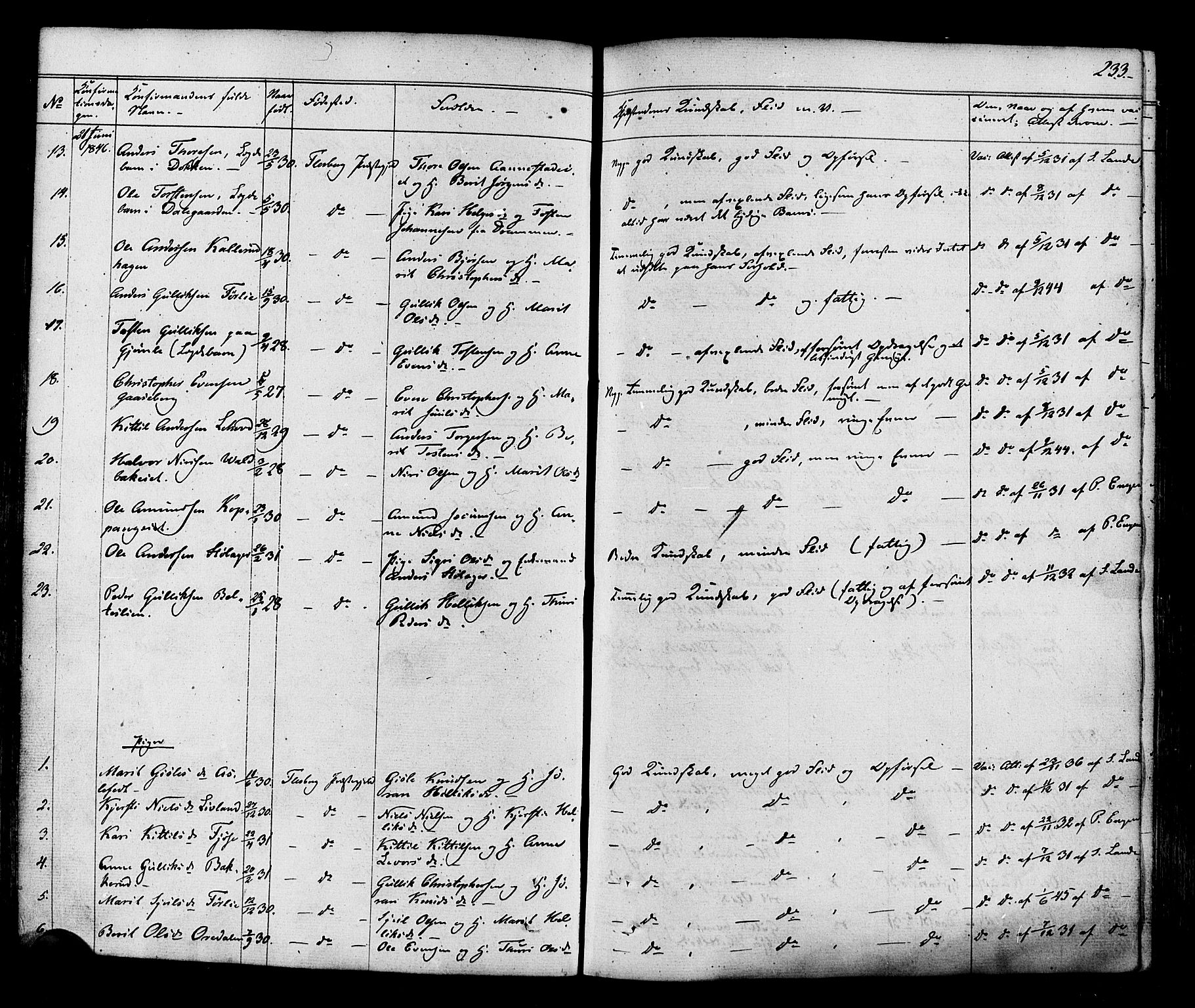 Flesberg kirkebøker, AV/SAKO-A-18/F/Fa/L0006: Parish register (official) no. I 6, 1834-1860, p. 233