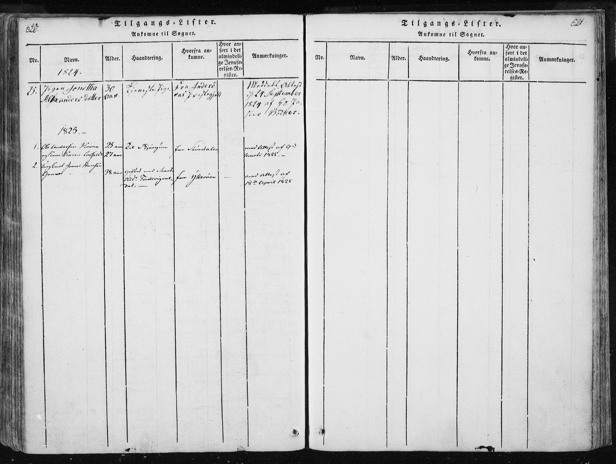 Ministerialprotokoller, klokkerbøker og fødselsregistre - Nord-Trøndelag, SAT/A-1458/717/L0148: Parish register (official) no. 717A04 /3, 1816-1825, p. 620-621