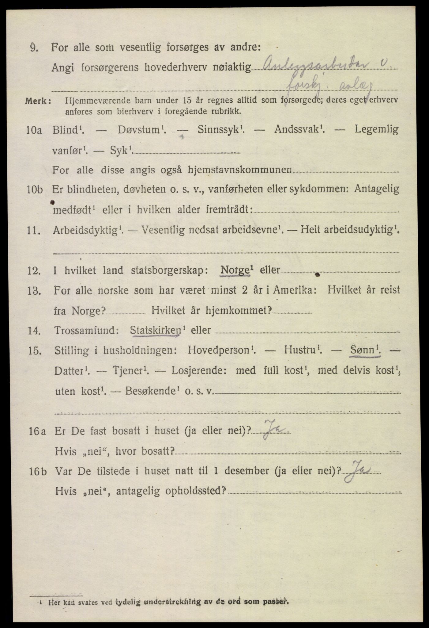 SAK, 1920 census for Hornnes, 1920, p. 2850