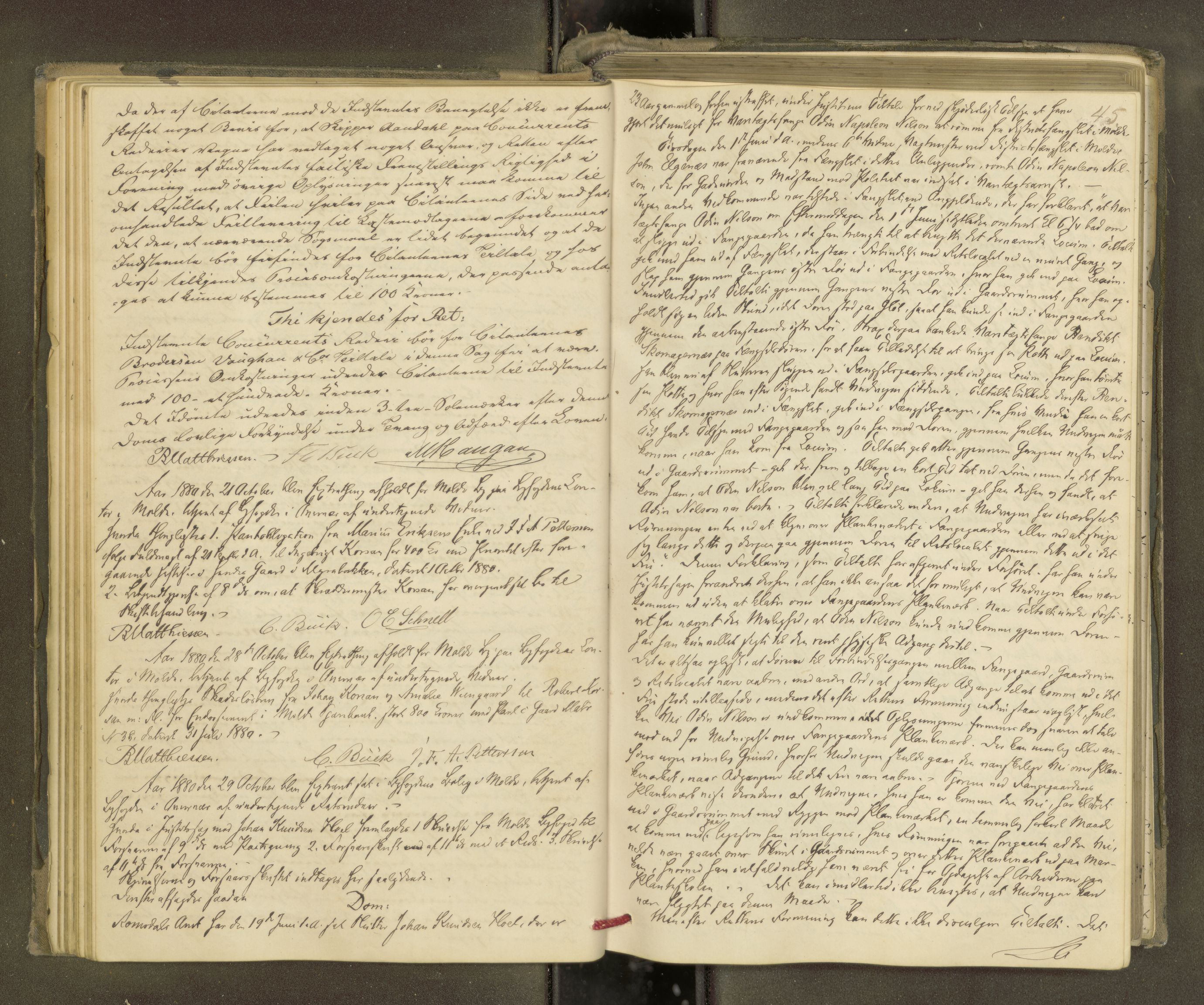 Molde byfogd, AV/SAT-A-0025/1/1A/L0012: Justisprotokoll, 1879-1890, p. 44b-45a