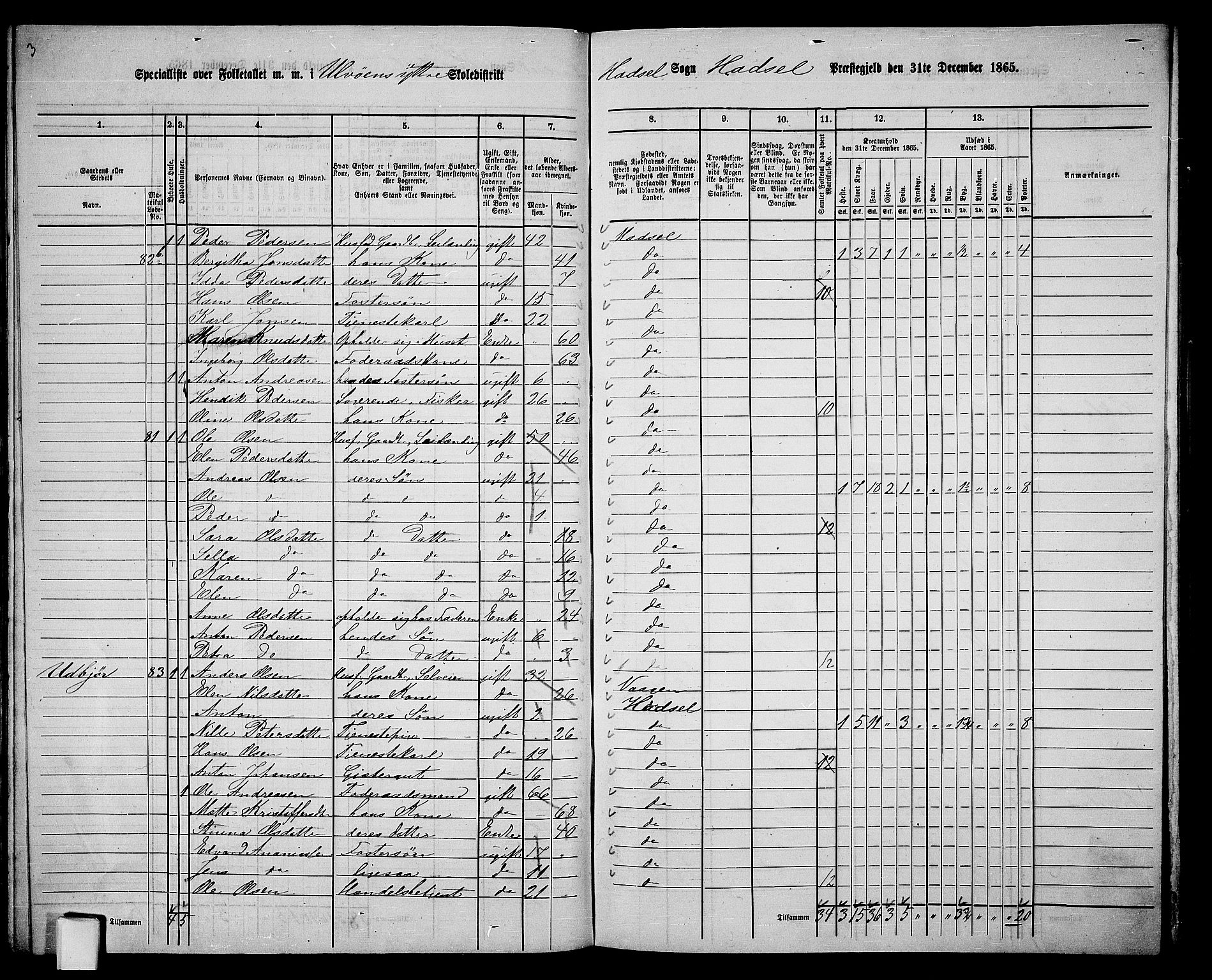 RA, 1865 census for Hadsel, 1865, p. 88