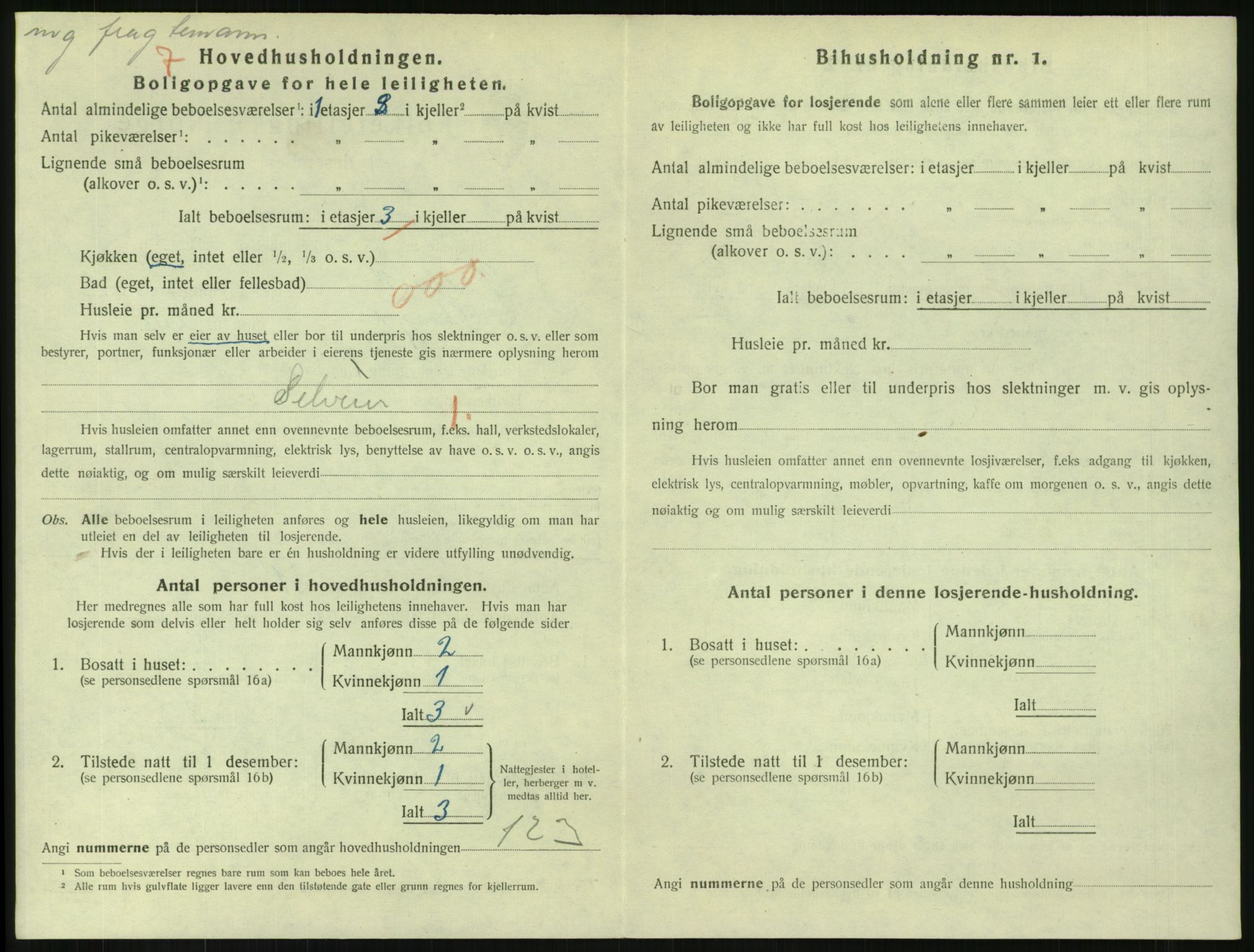 SAKO, 1920 census for Svelvik, 1920, p. 1056