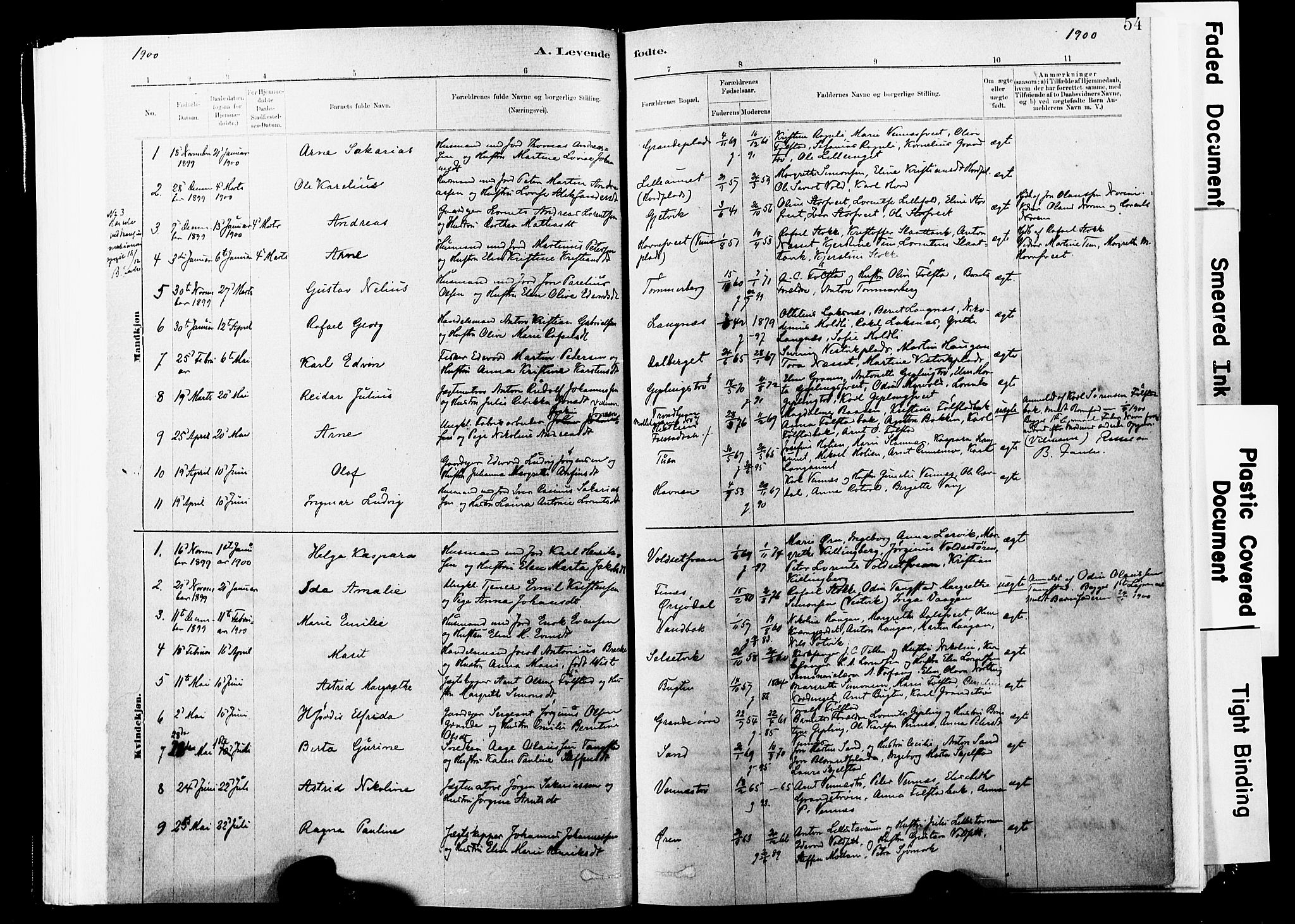 Ministerialprotokoller, klokkerbøker og fødselsregistre - Nord-Trøndelag, SAT/A-1458/744/L0420: Parish register (official) no. 744A04, 1882-1904, p. 54