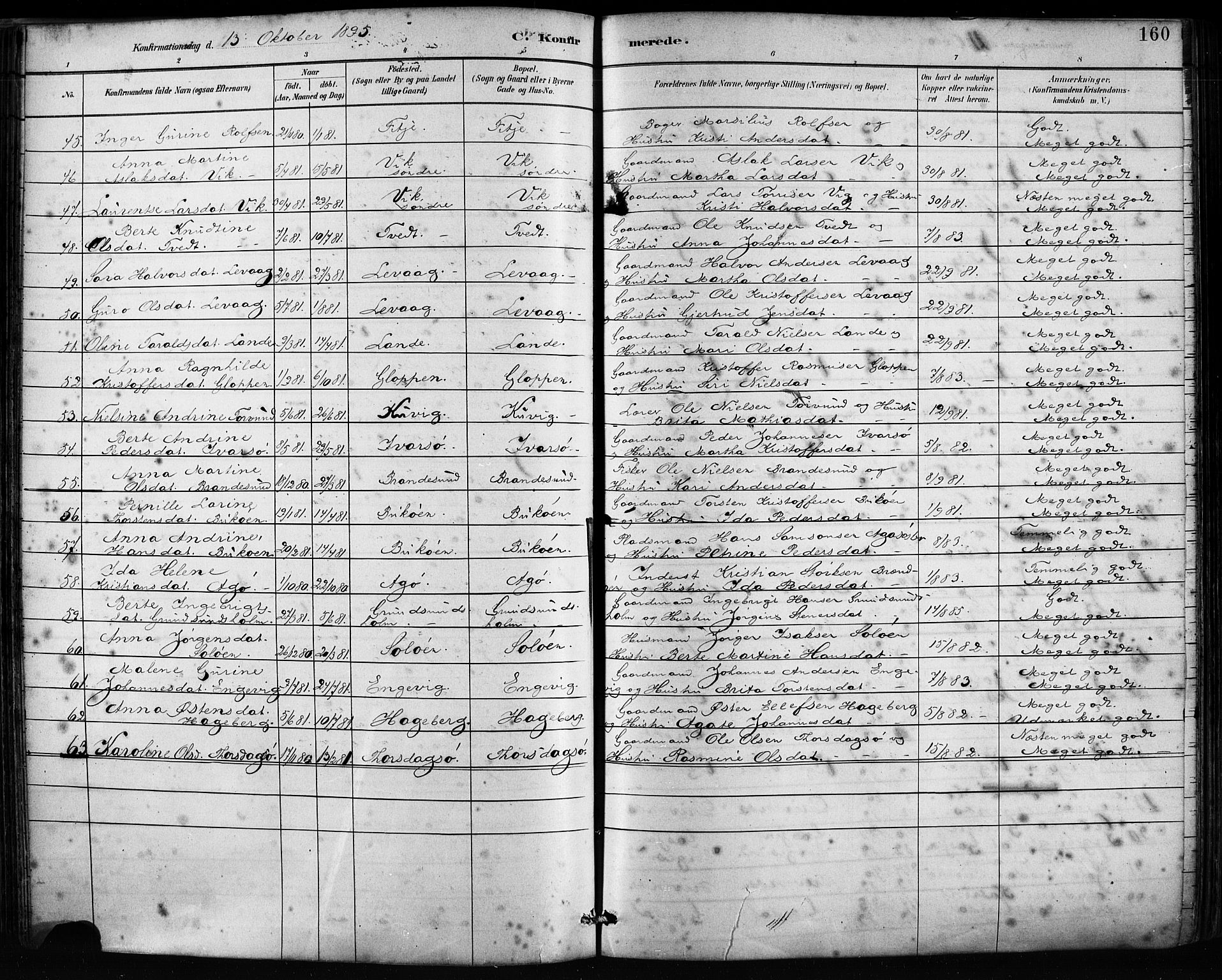 Fitjar sokneprestembete, AV/SAB-A-99926: Parish register (official) no. A 2, 1882-1899, p. 160