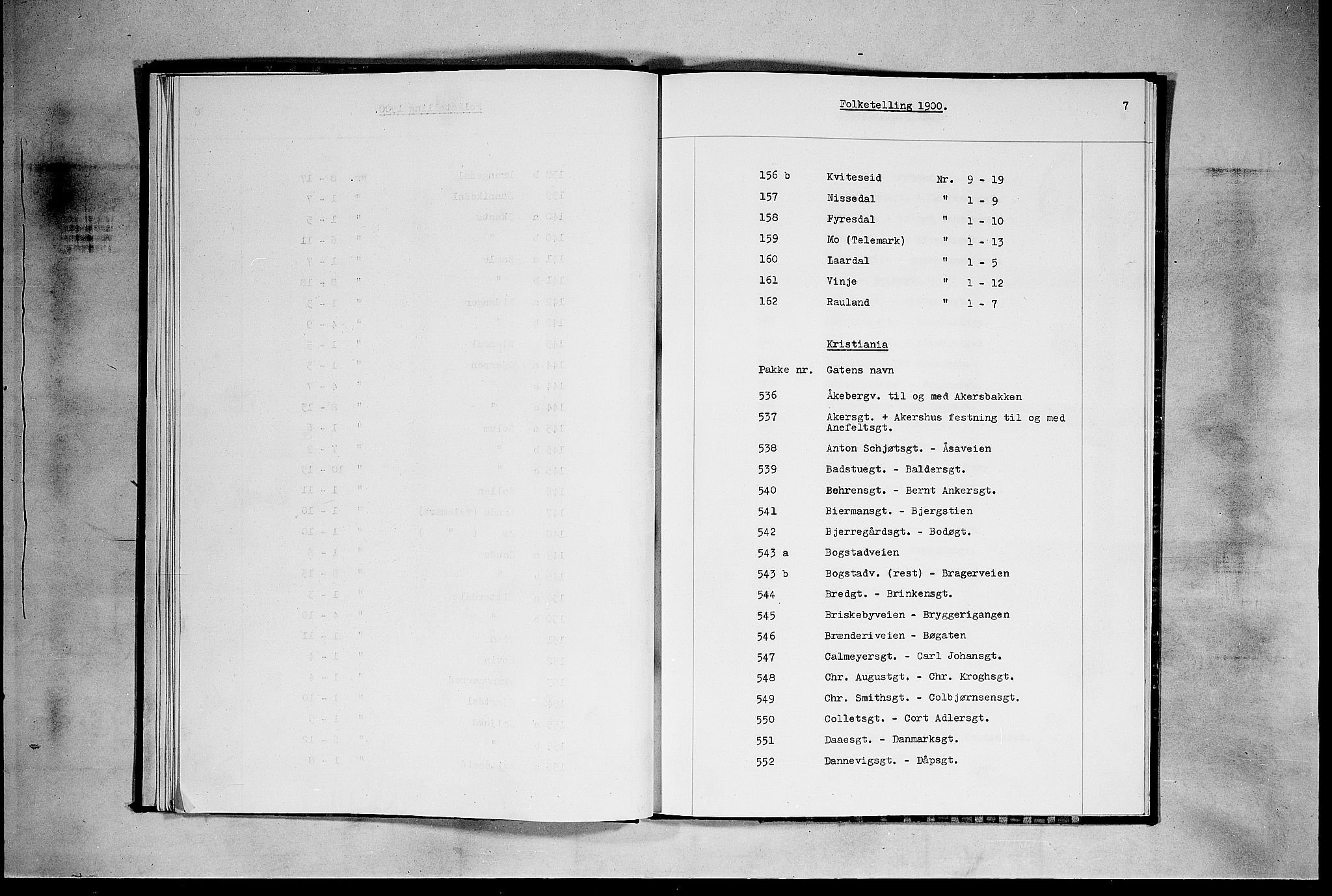 SAKO, 1900 census for Rauland, 1900, p. 20