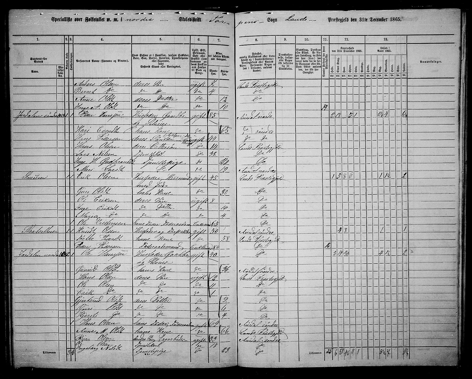 RA, 1865 census for Land, 1865, p. 171