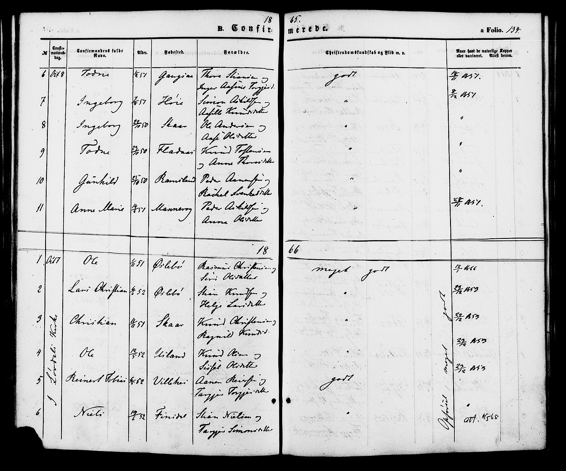 Holum sokneprestkontor, AV/SAK-1111-0022/F/Fa/Fac/L0003: Parish register (official) no. A 3, 1860-1883, p. 134