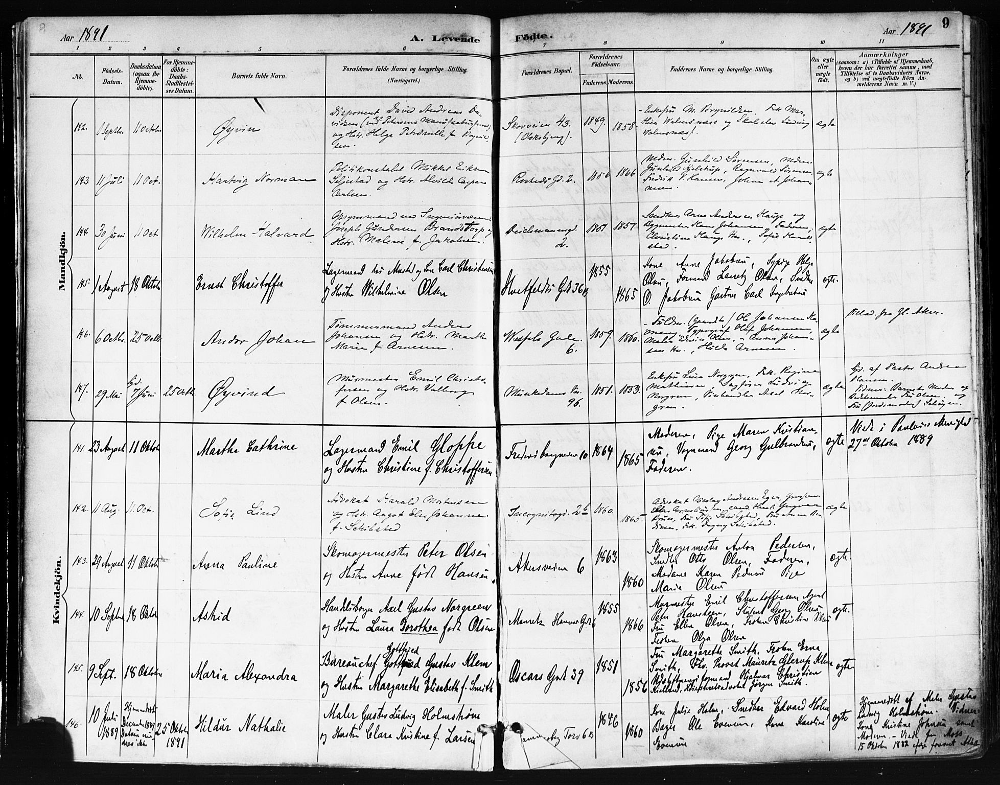 Trefoldighet prestekontor Kirkebøker, AV/SAO-A-10882/F/Fa/L0006: Parish register (official) no. I 6, 1891-1899, p. 9