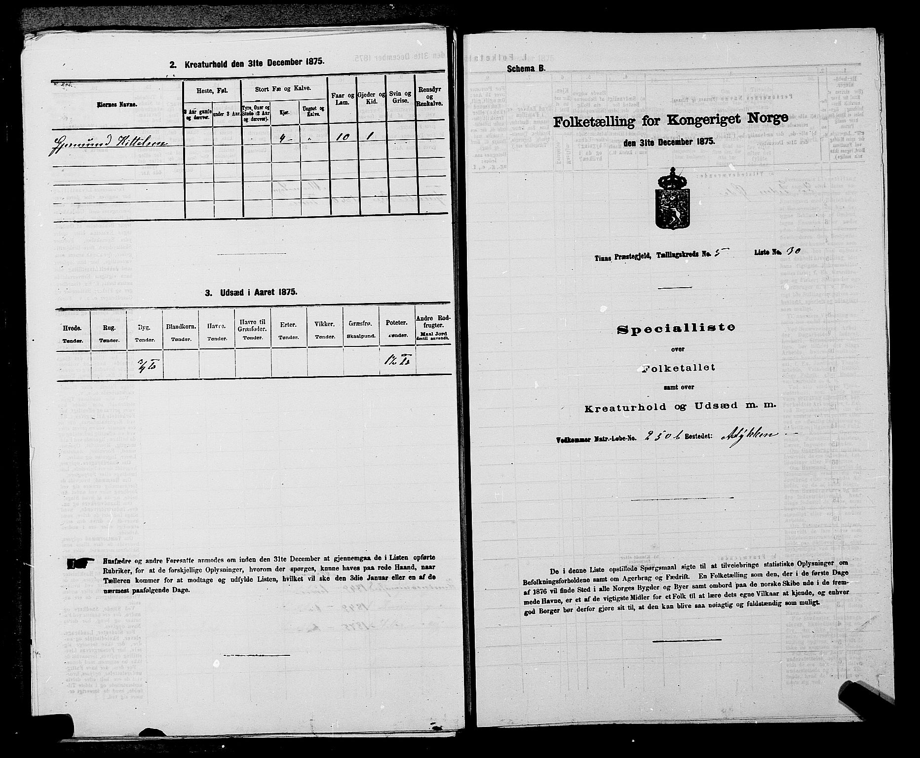 SAKO, 1875 census for 0826P Tinn, 1875, p. 743