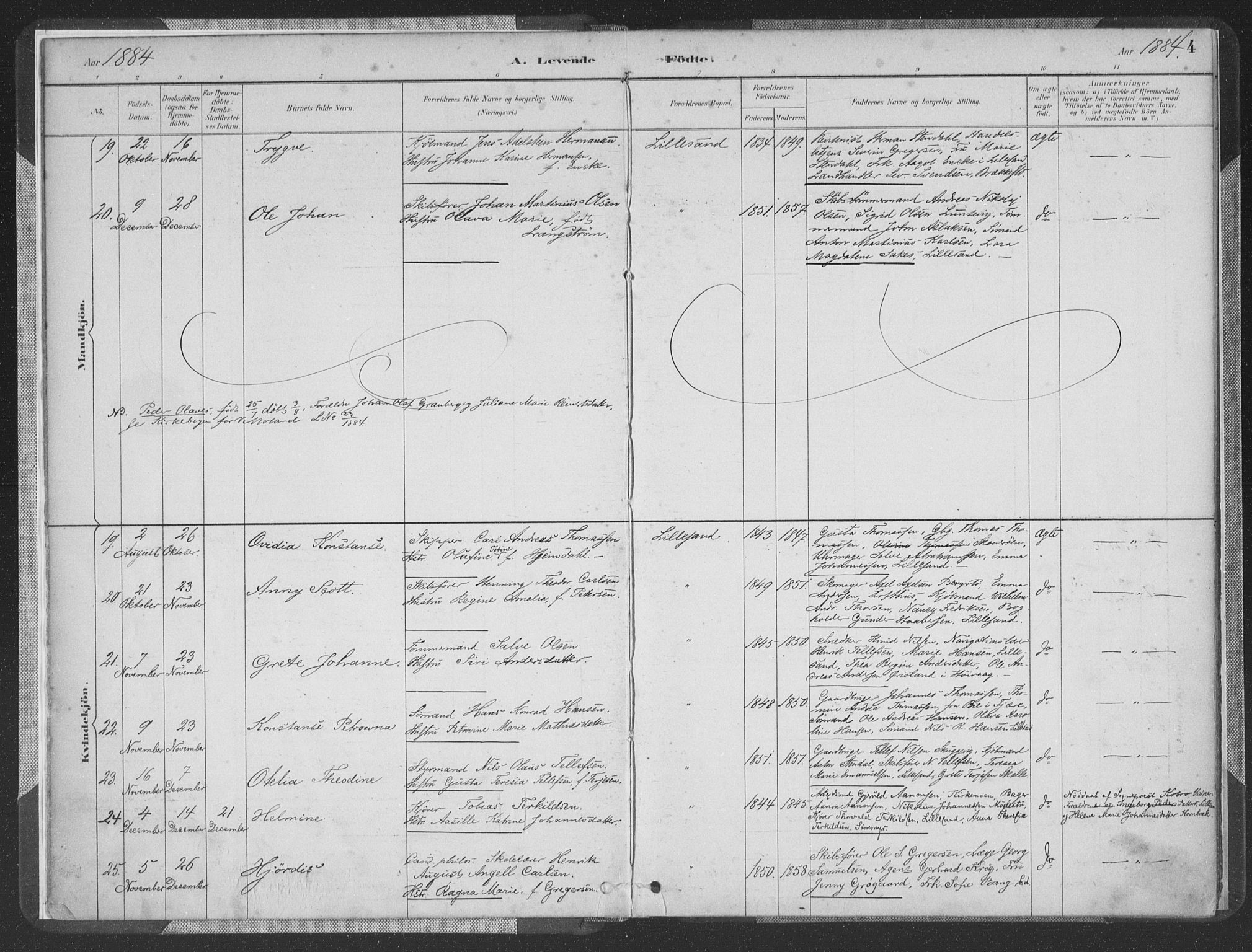 Vestre Moland sokneprestkontor, SAK/1111-0046/F/Fa/Faa/L0001: Parish register (official) no. A 1, 1884-1899, p. 4