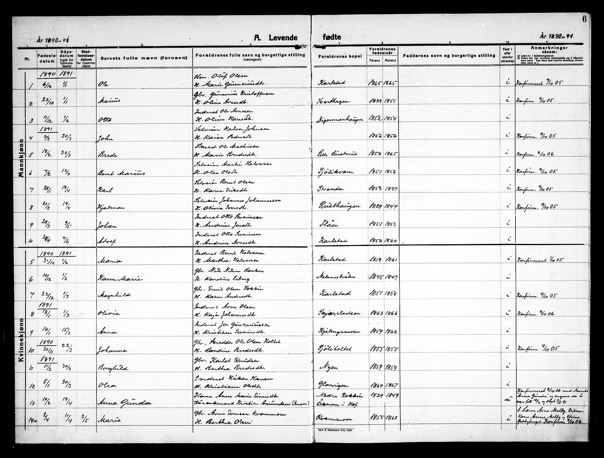 Åsnes prestekontor, AV/SAH-PREST-042/H/Ha/Haa/L0000D: Parish register (official) no. 0B, 1890-1929, p. 6