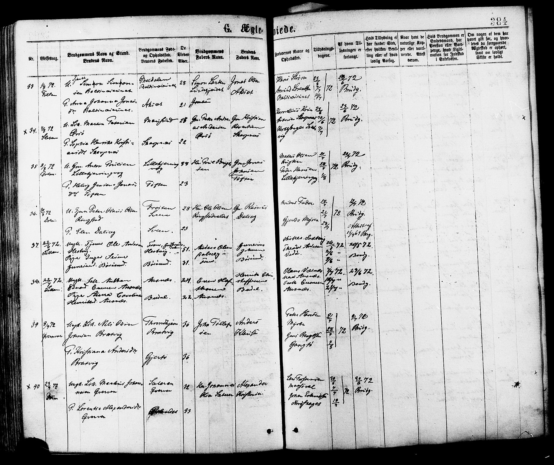 Ministerialprotokoller, klokkerbøker og fødselsregistre - Sør-Trøndelag, AV/SAT-A-1456/634/L0532: Parish register (official) no. 634A08, 1871-1881, p. 384