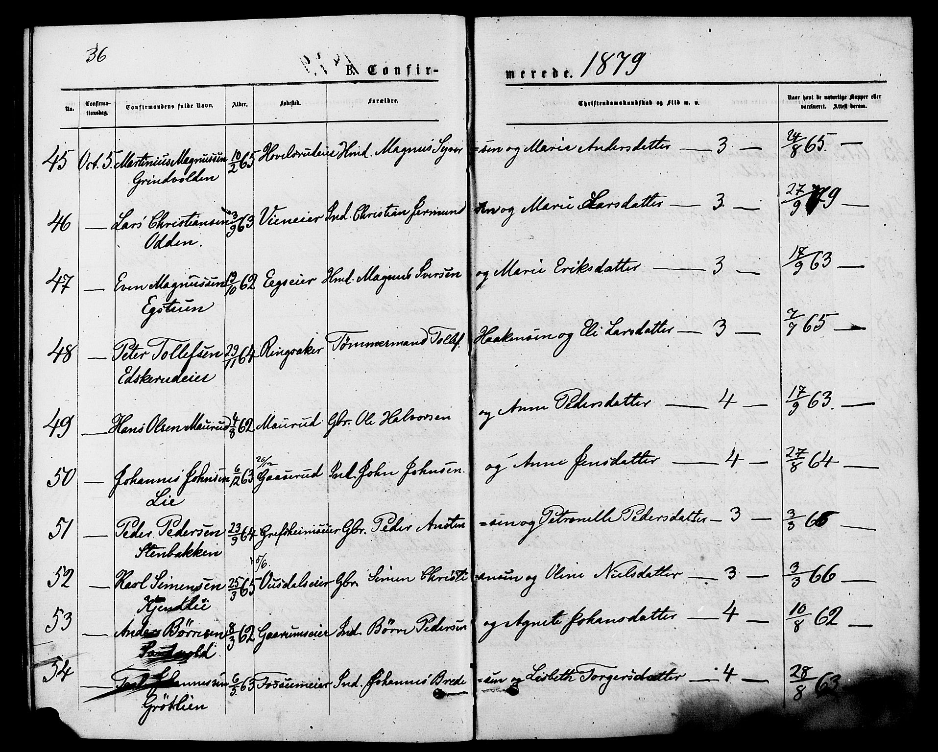 Nes prestekontor, Hedmark, AV/SAH-PREST-020/K/Ka/L0006: Parish register (official) no. 6, 1873-1886, p. 36