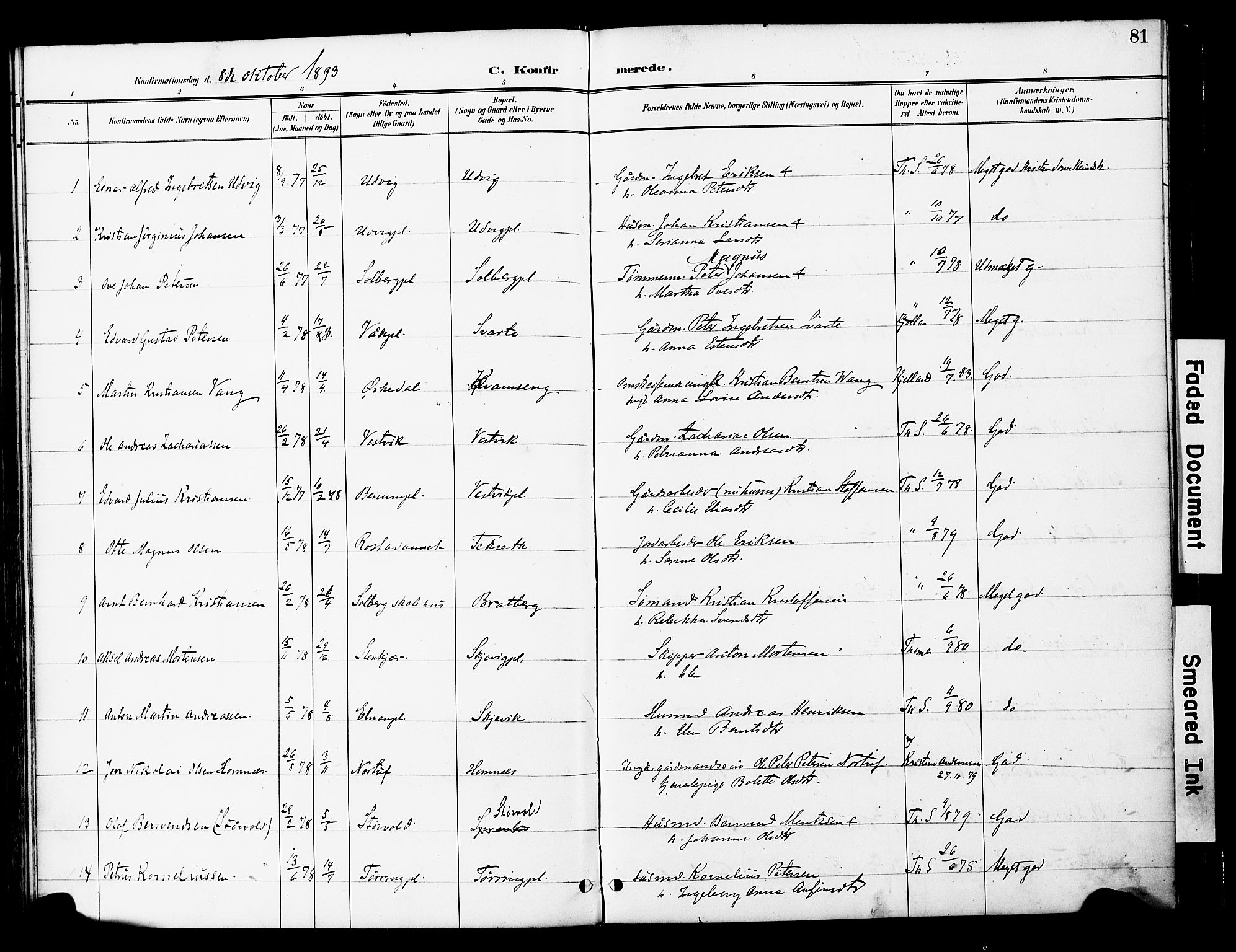 Ministerialprotokoller, klokkerbøker og fødselsregistre - Nord-Trøndelag, AV/SAT-A-1458/741/L0396: Parish register (official) no. 741A10, 1889-1901, p. 81